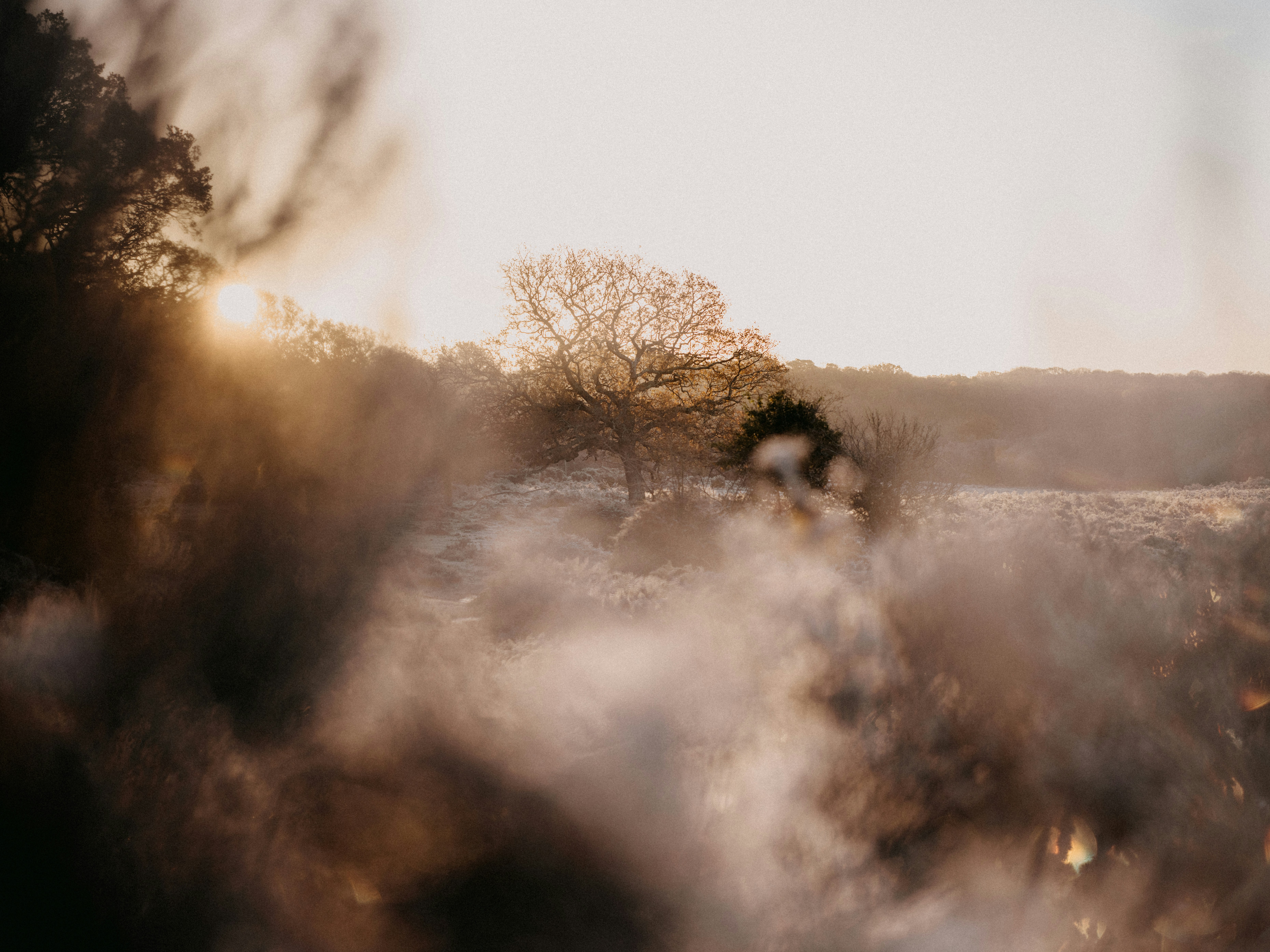 Photo by anniespratt