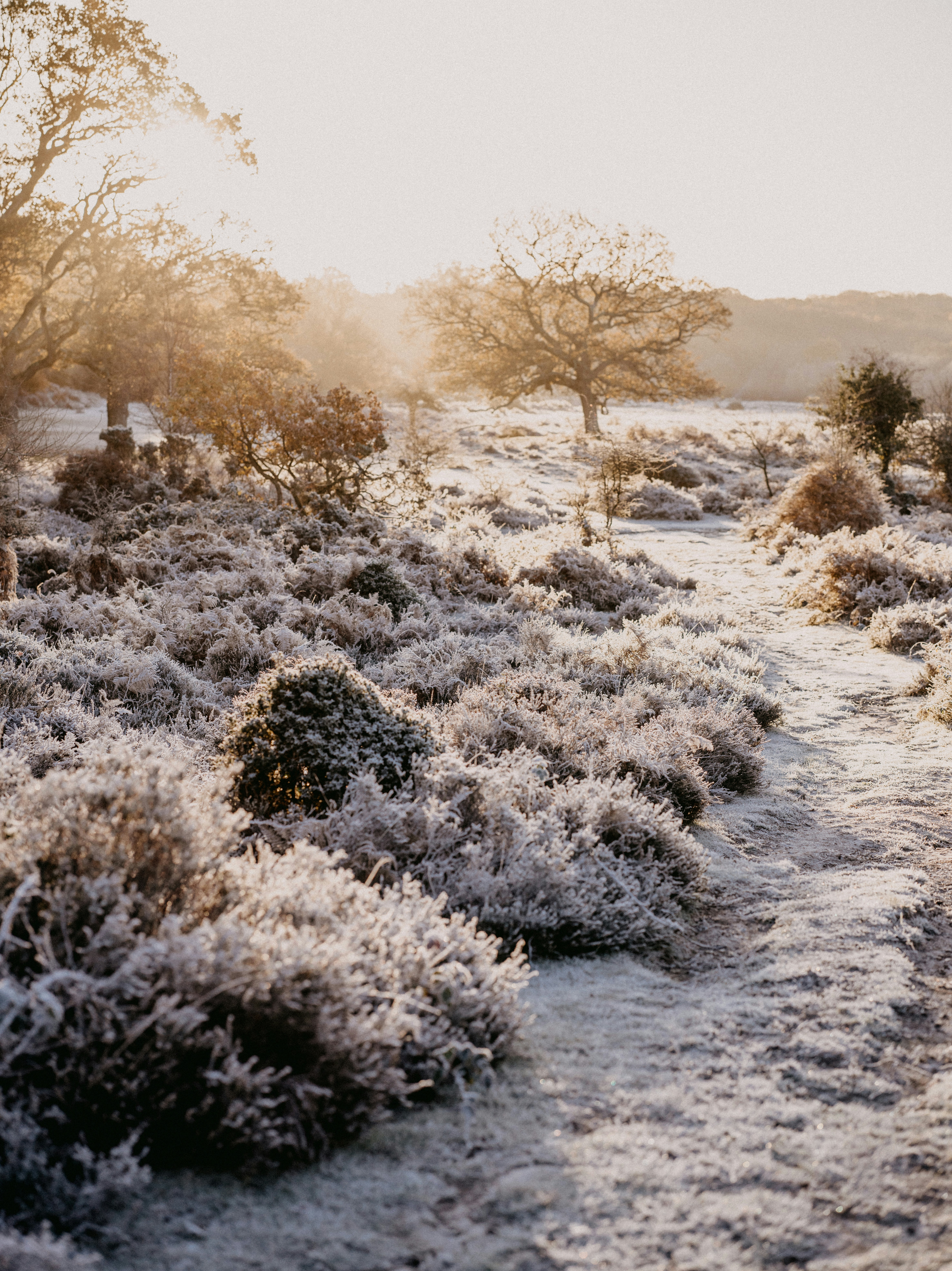 Photo by anniespratt