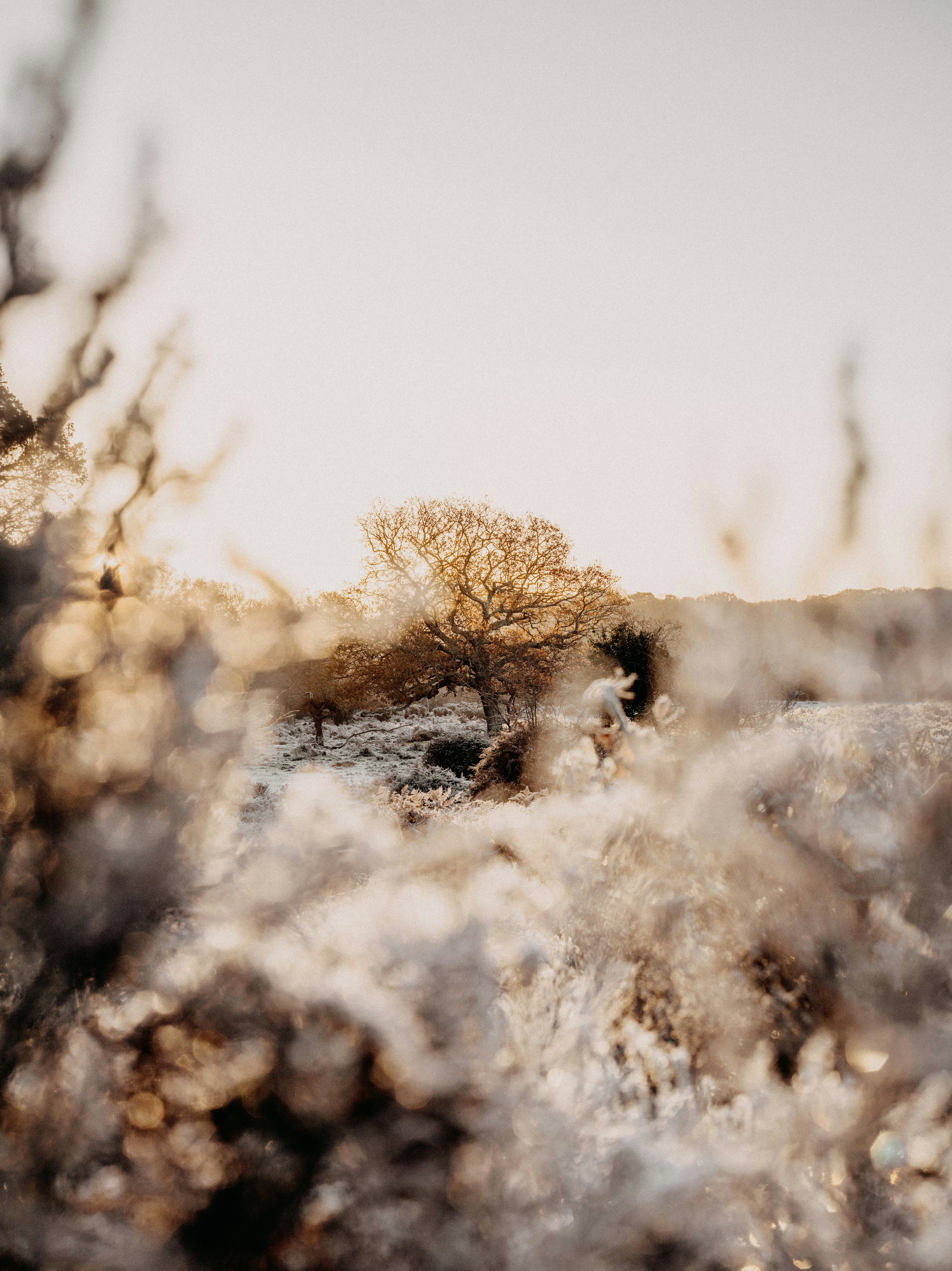 Photo by anniespratt