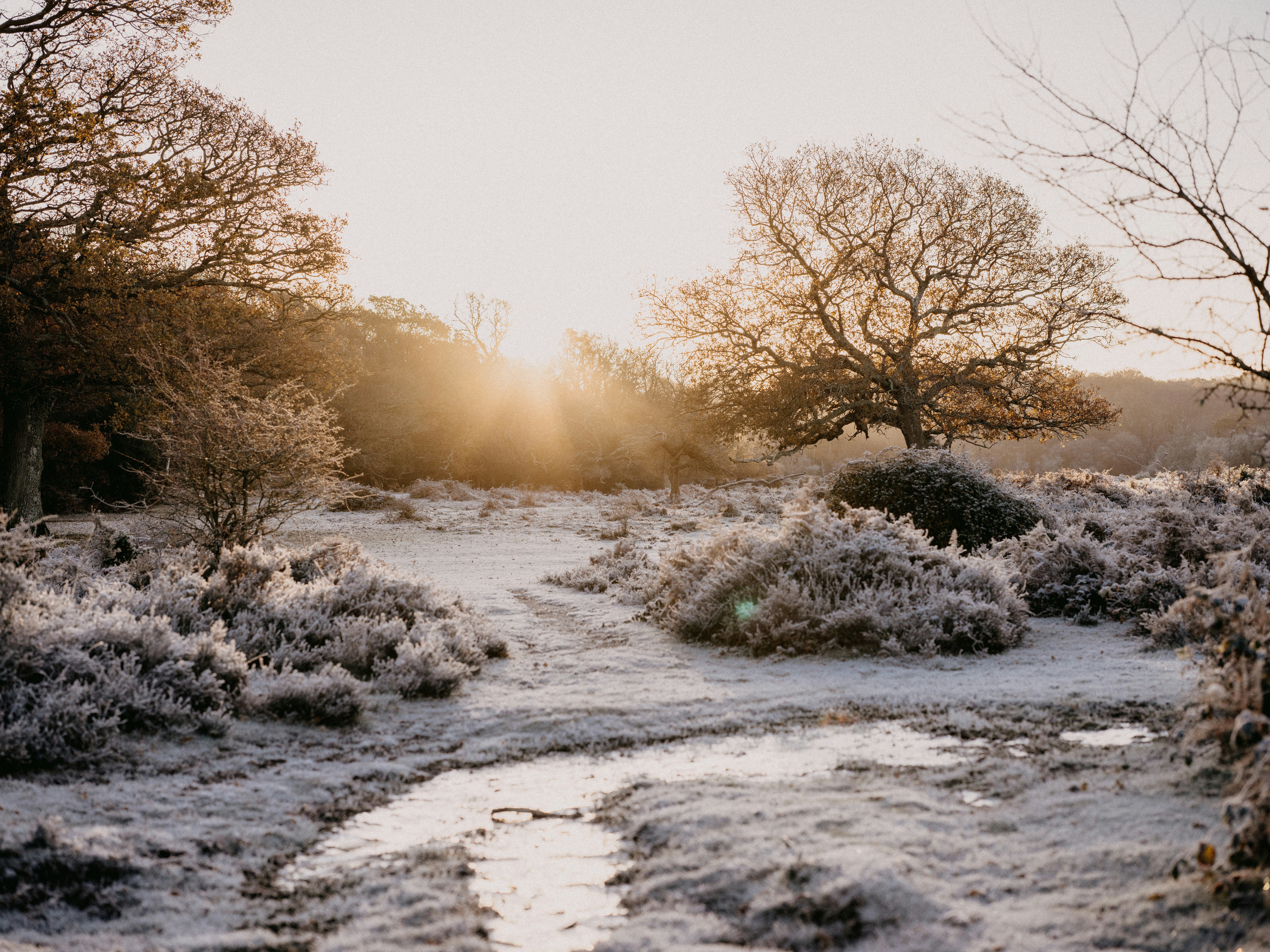 Photo by anniespratt