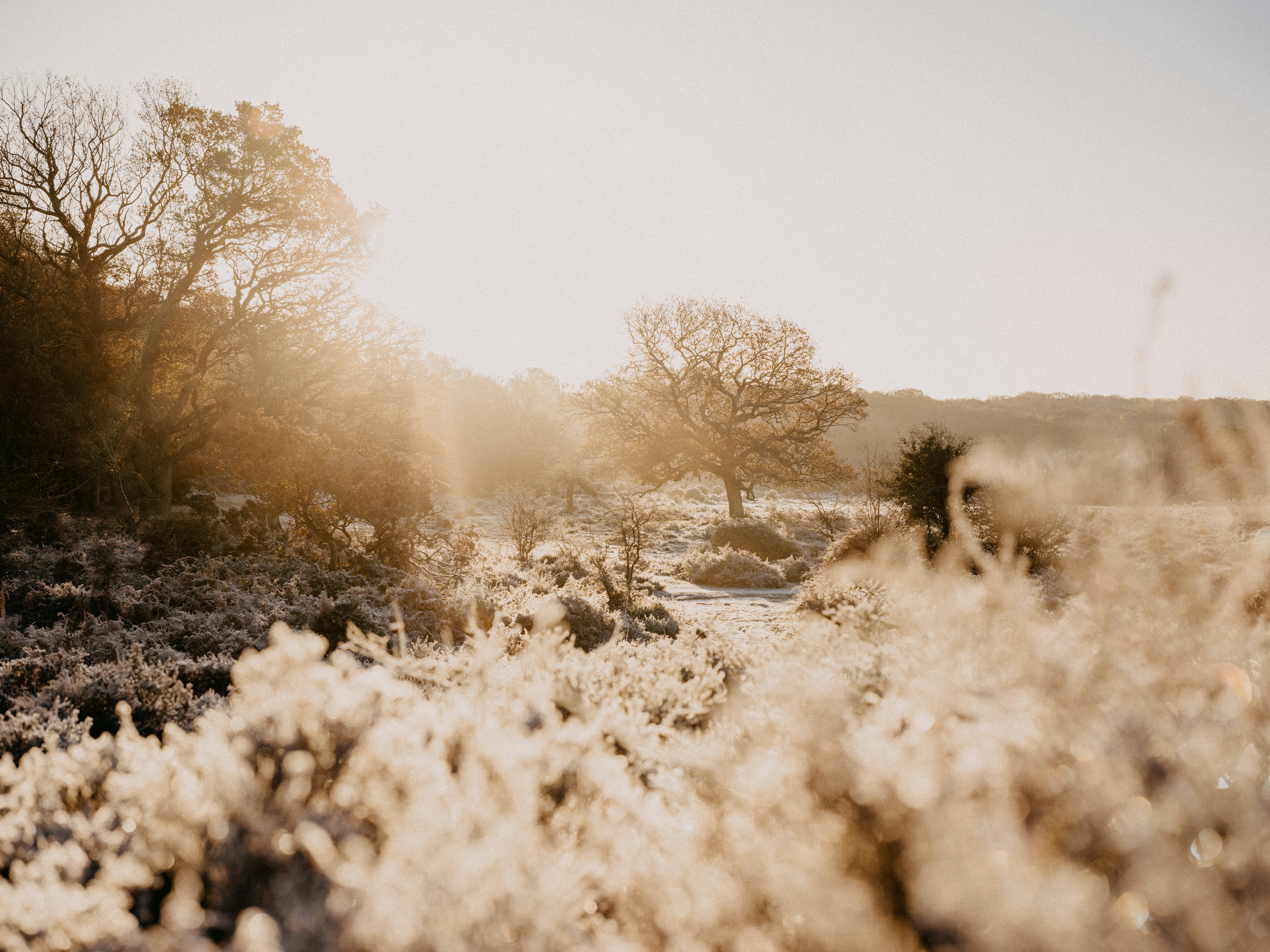 Photo by anniespratt