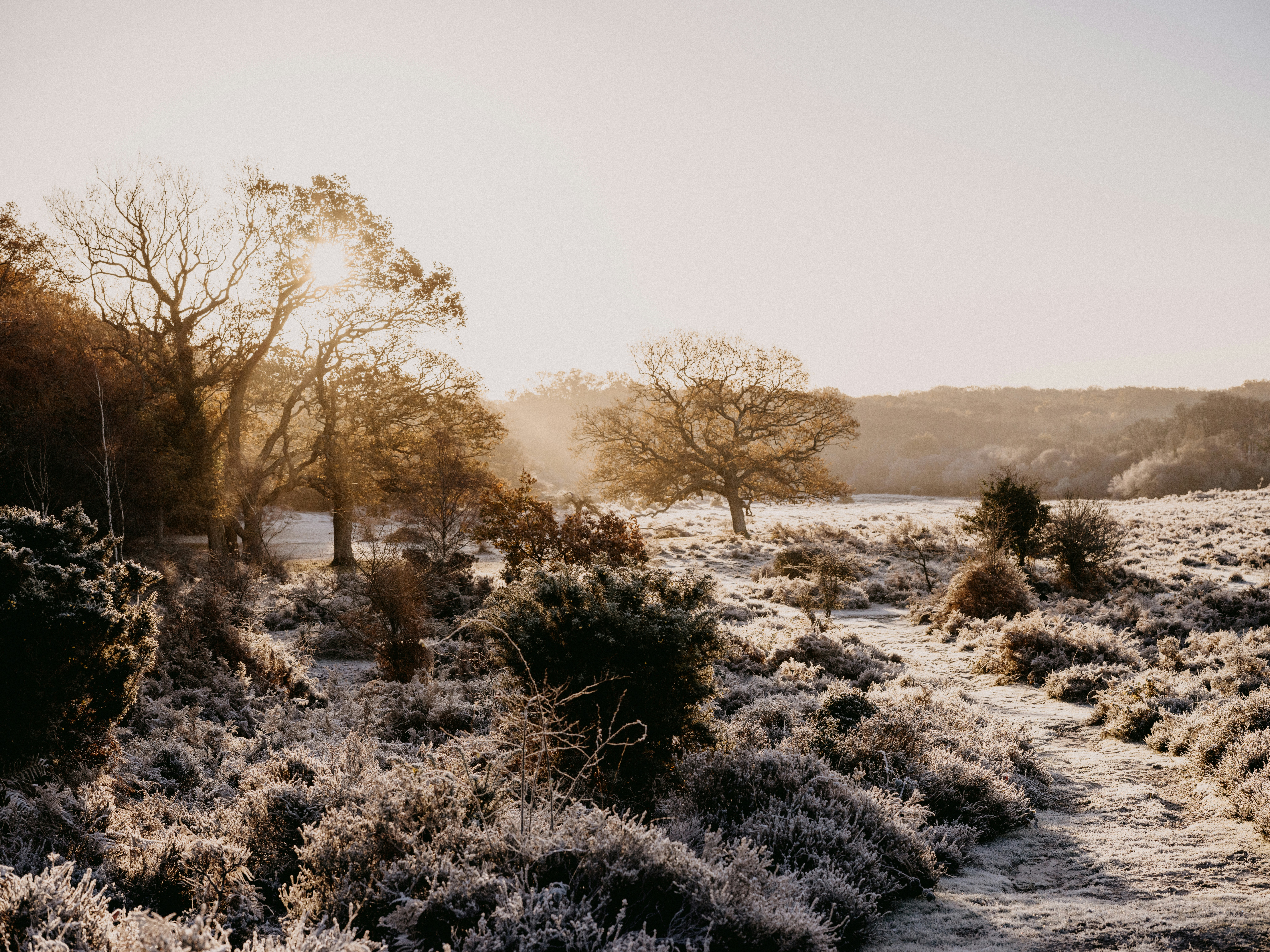 Photo by anniespratt