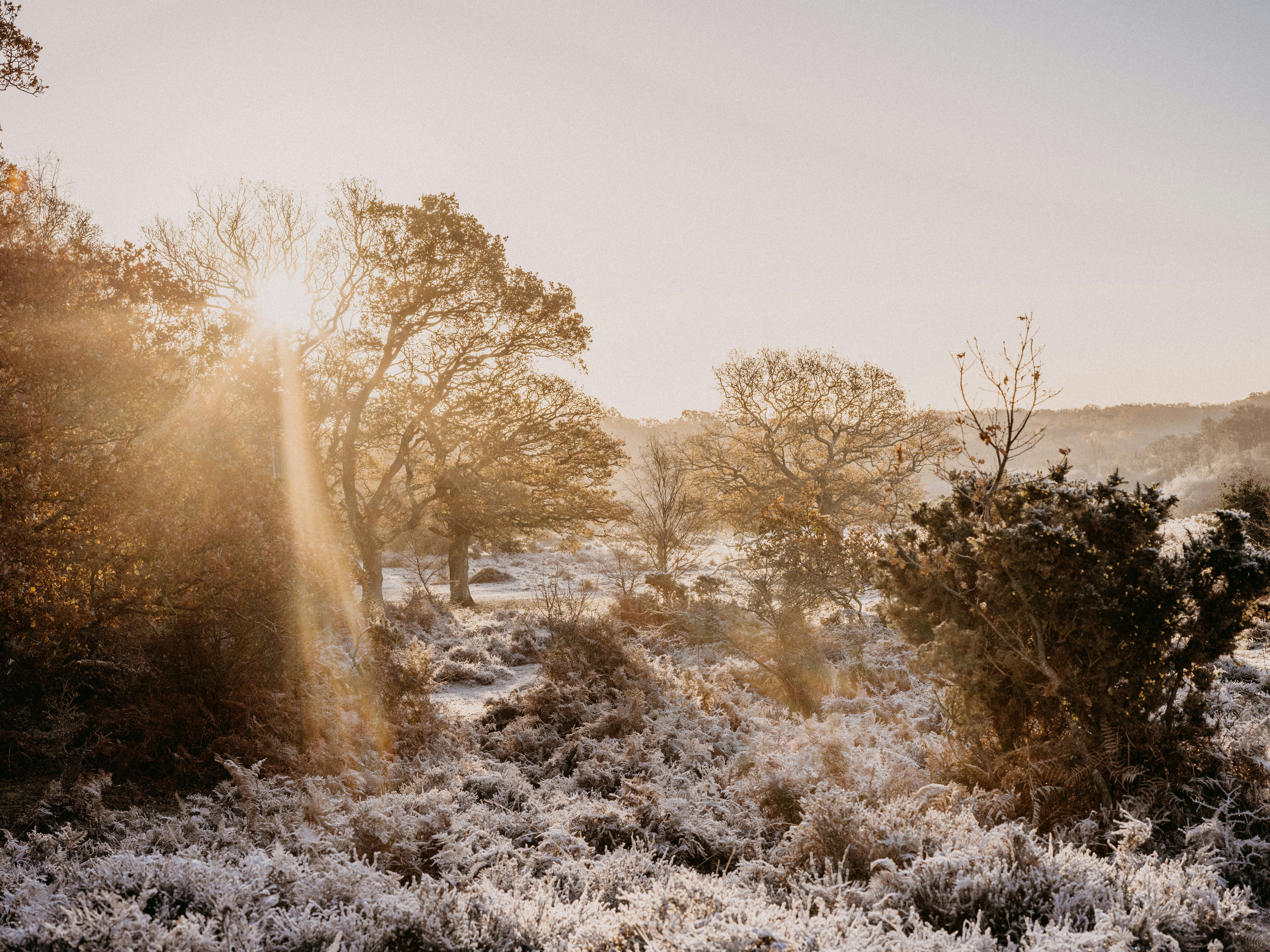 Photo by anniespratt