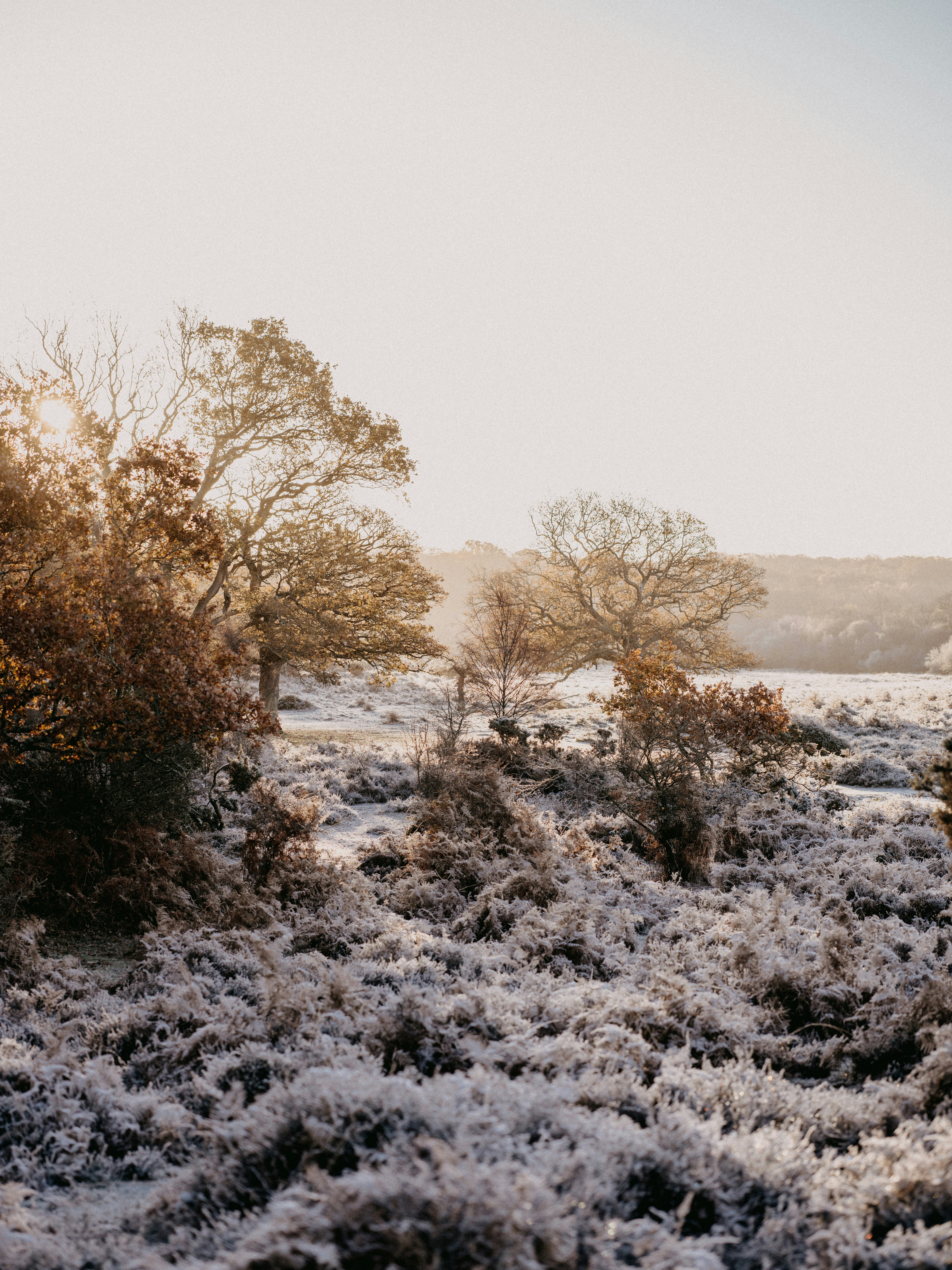 Photo by anniespratt