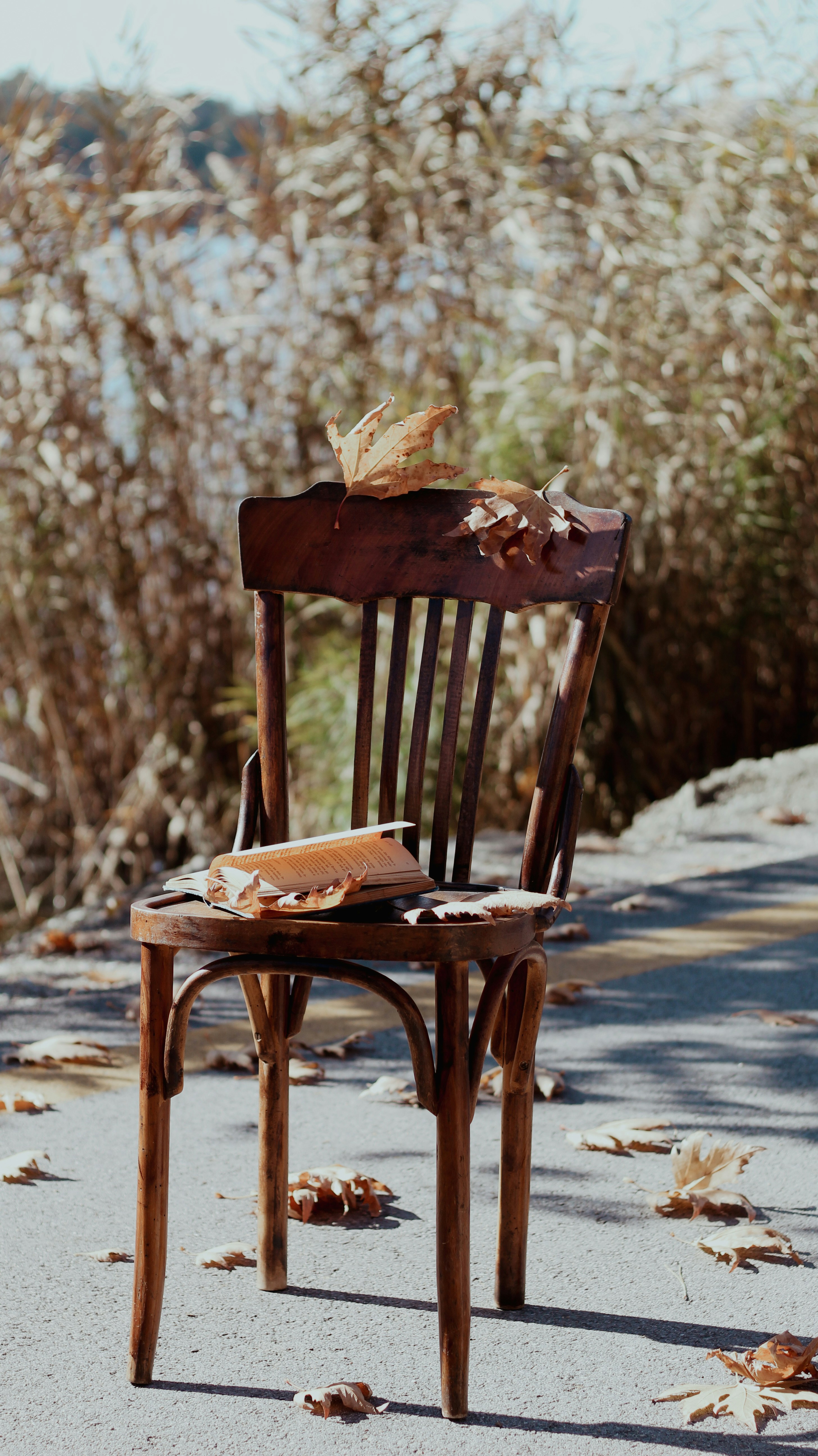 Photo by esrakorkmaz