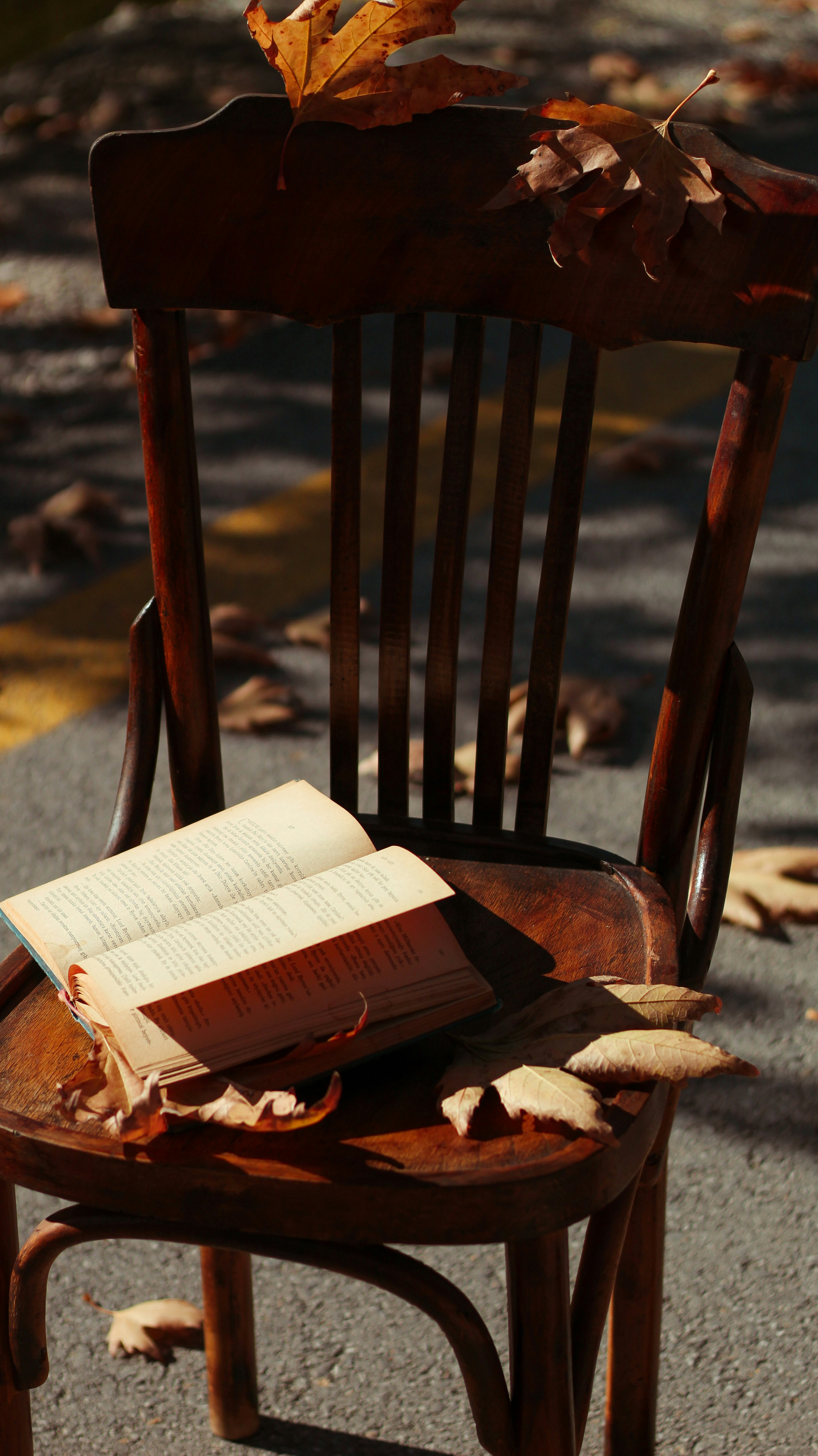 Photo by esrakorkmaz