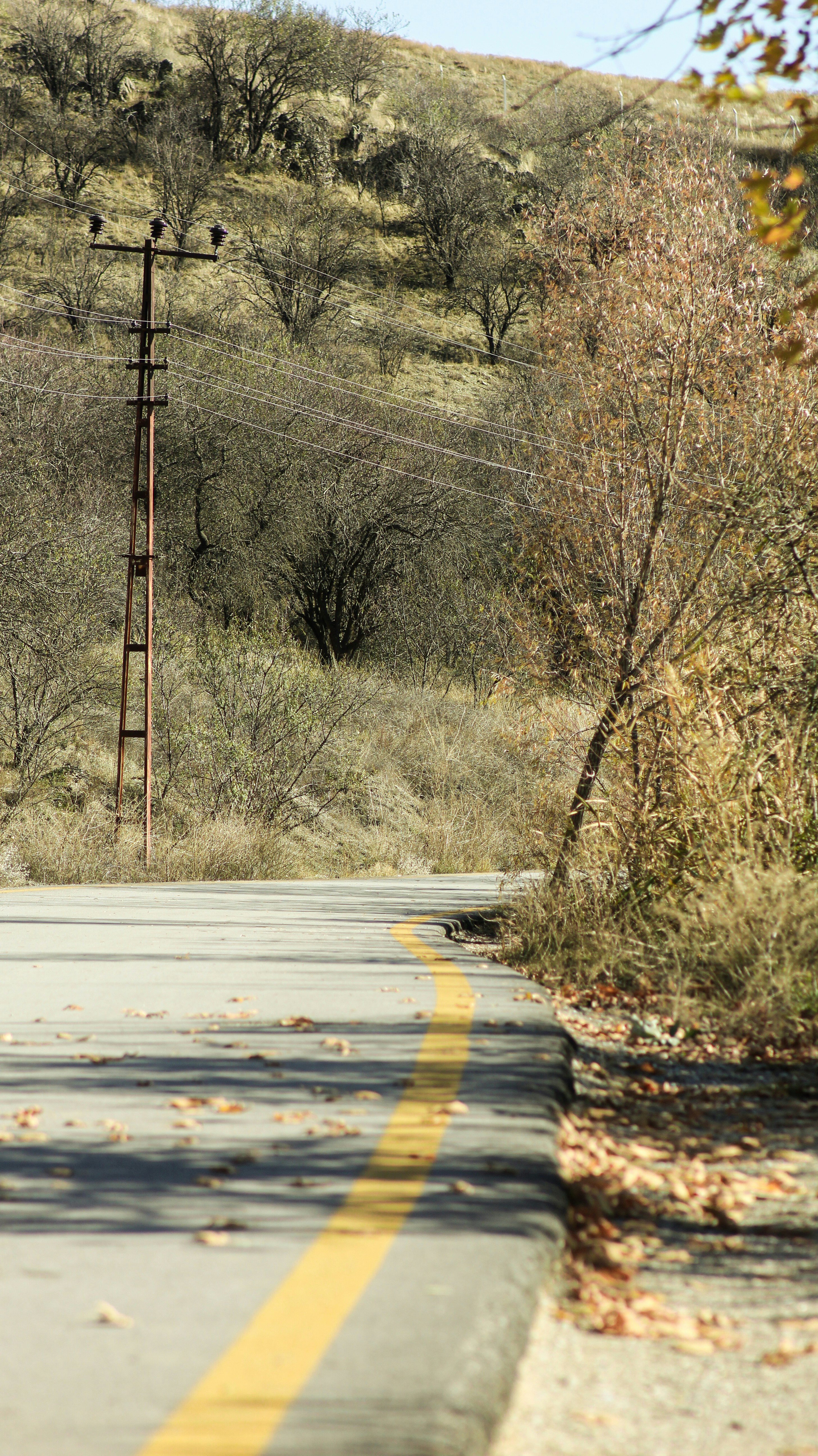 Photo by esrakorkmaz