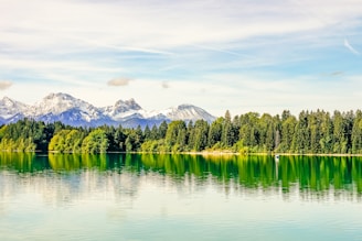 A serene forest landscape with mountains in the background.