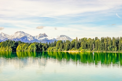 A serene forest landscape with mountains in the background.