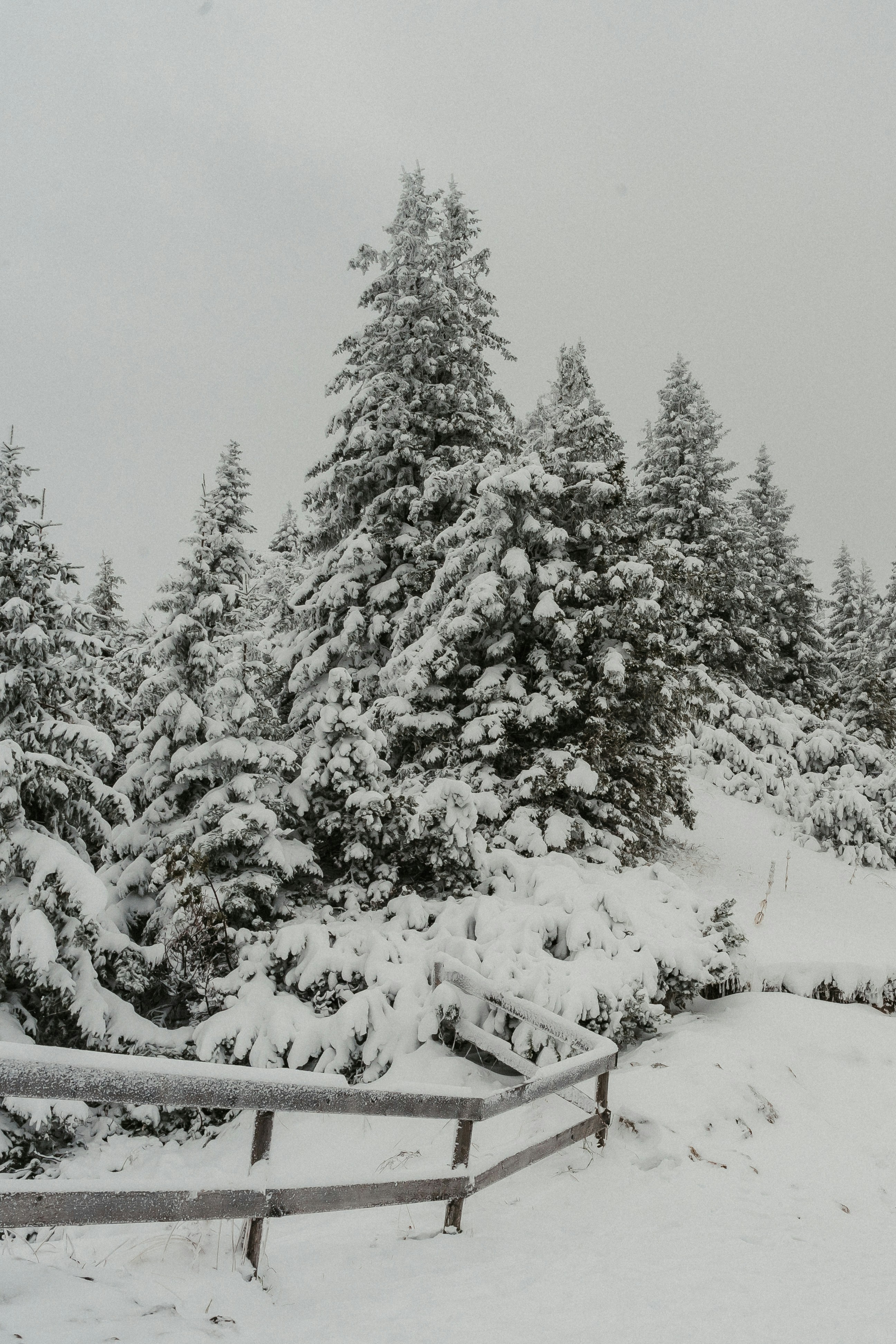 Photo by masoodaslami