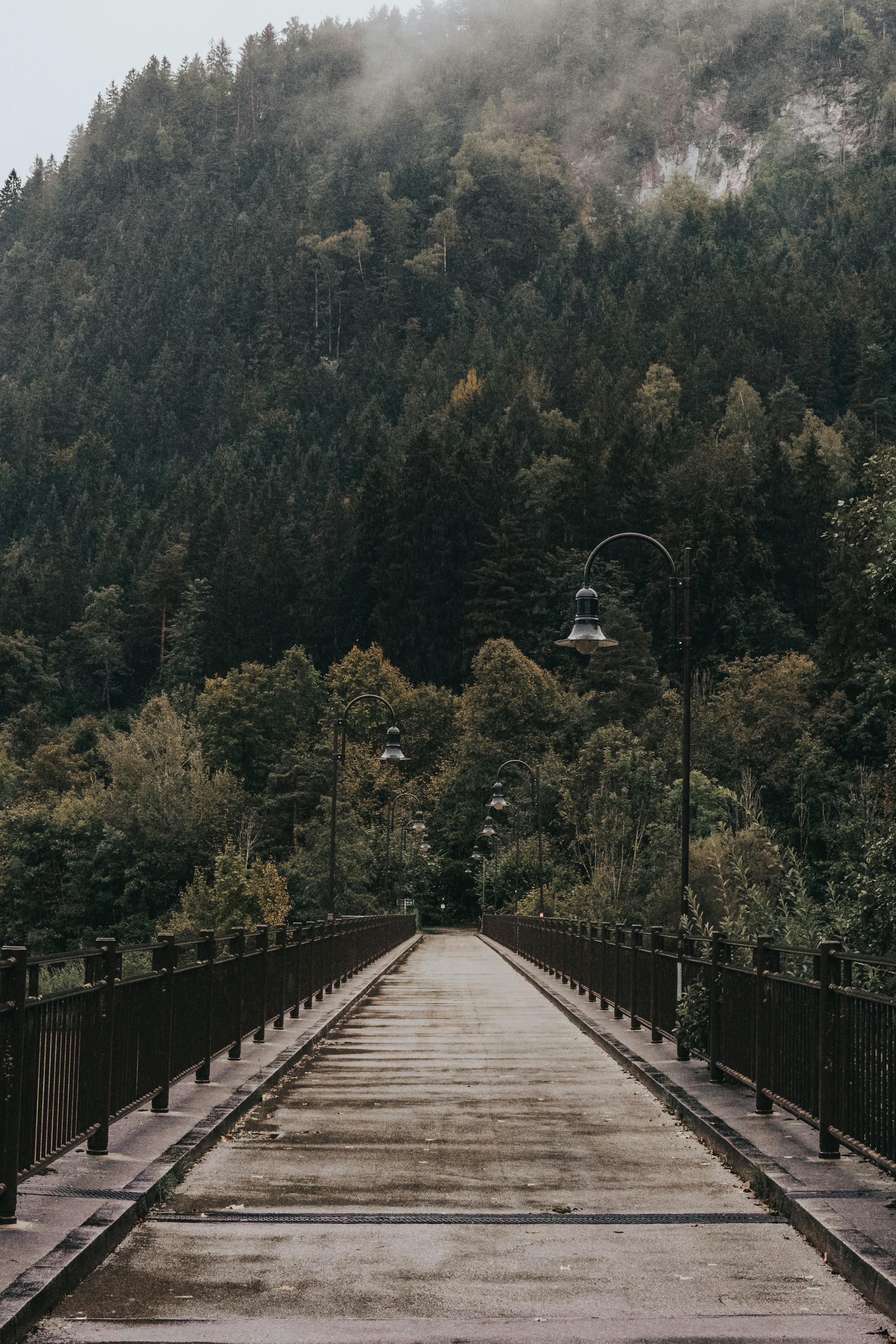 Photo by masoodaslami