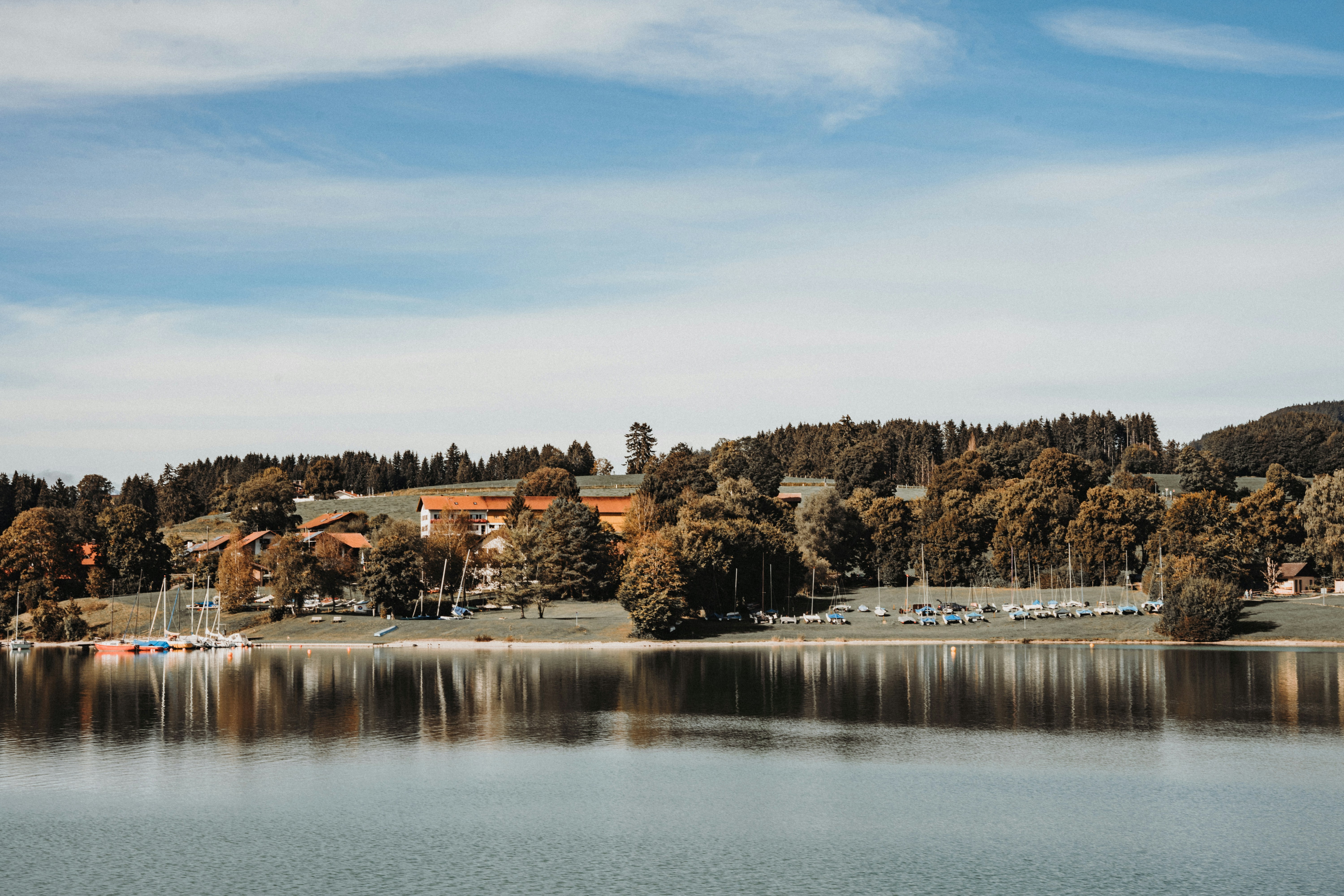 Photo by masoodaslami