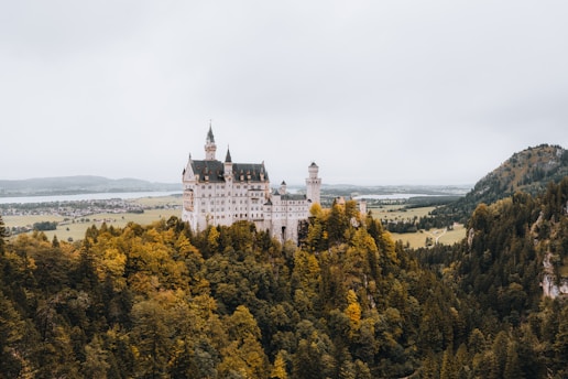 A grand castle stands atop a lush, tree-covered hill, surrounded by a vast landscape with rolling hills and a distant body of water. The sky is overcast, lending a soft, muted tone to the scene.