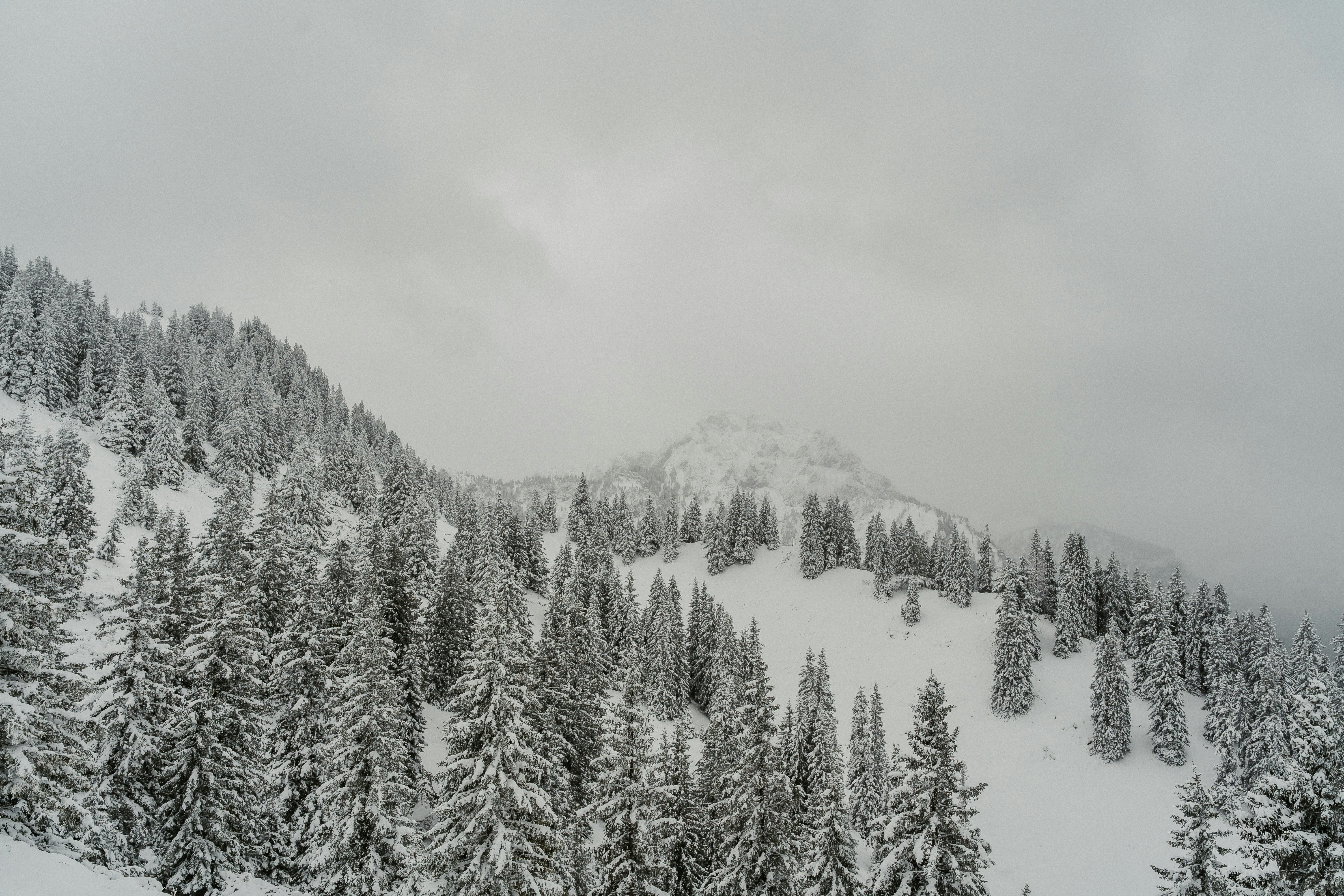 Photo by masoodaslami