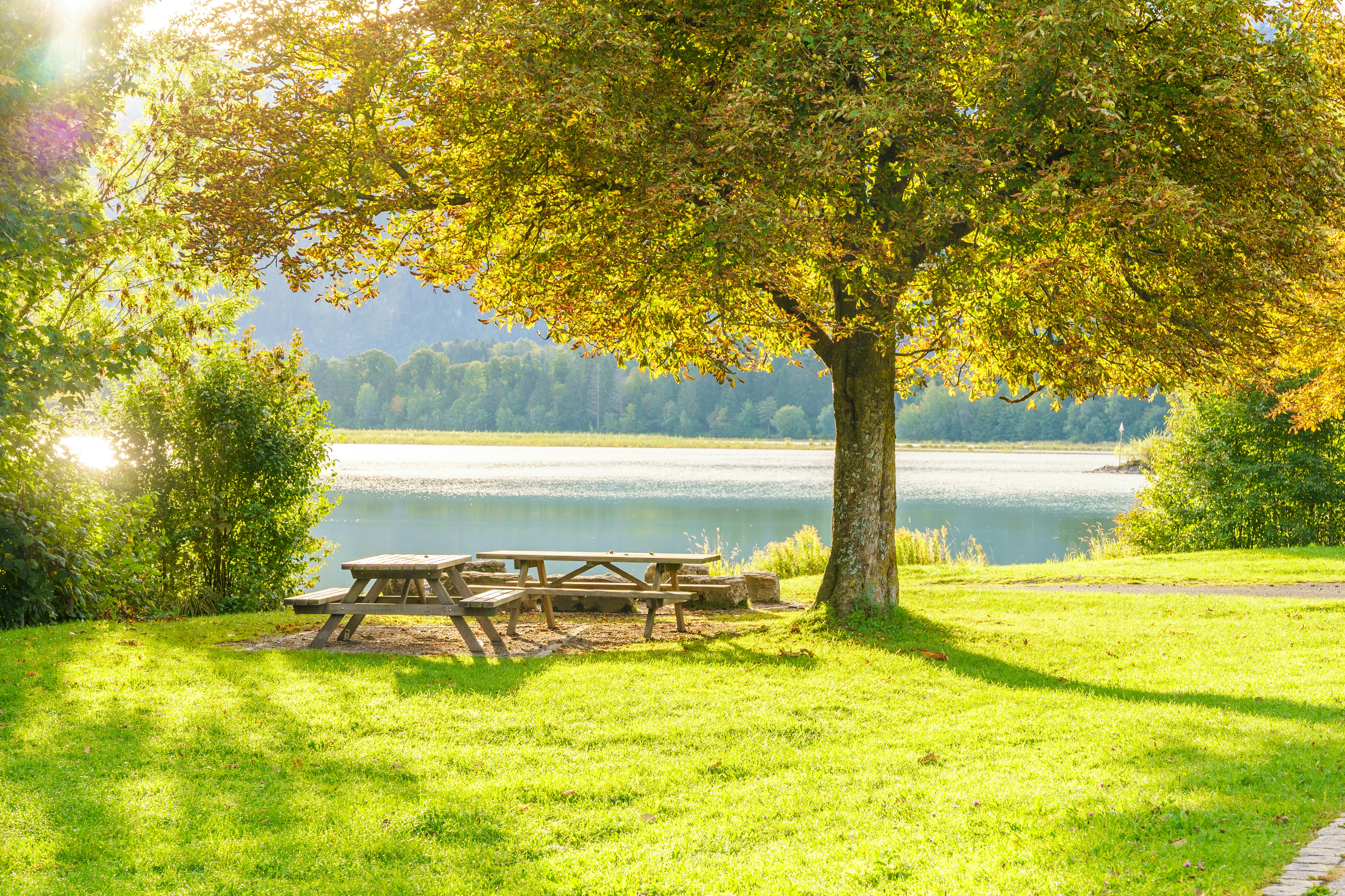 Photo by masoodaslami