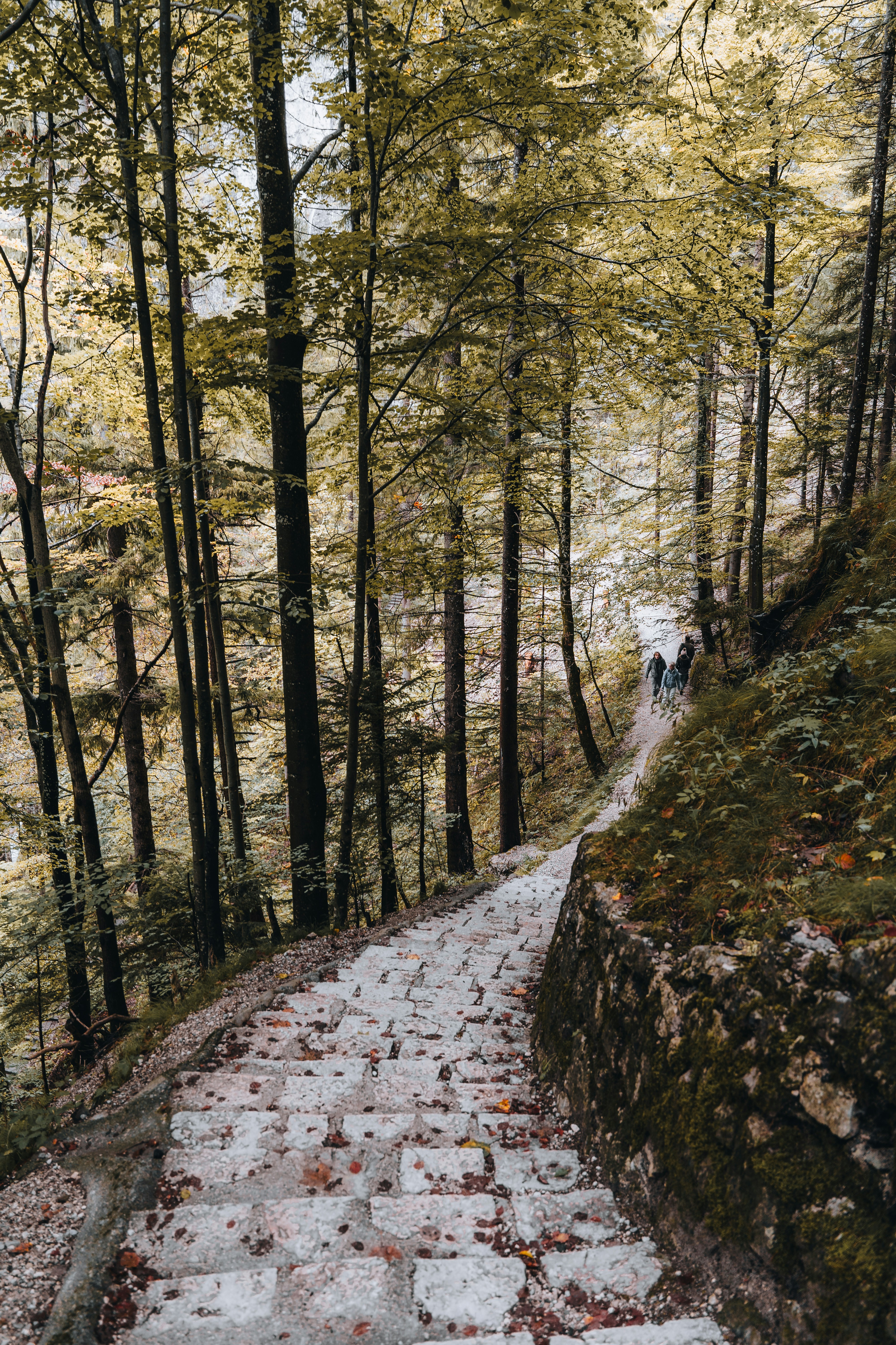 Photo by masoodaslami