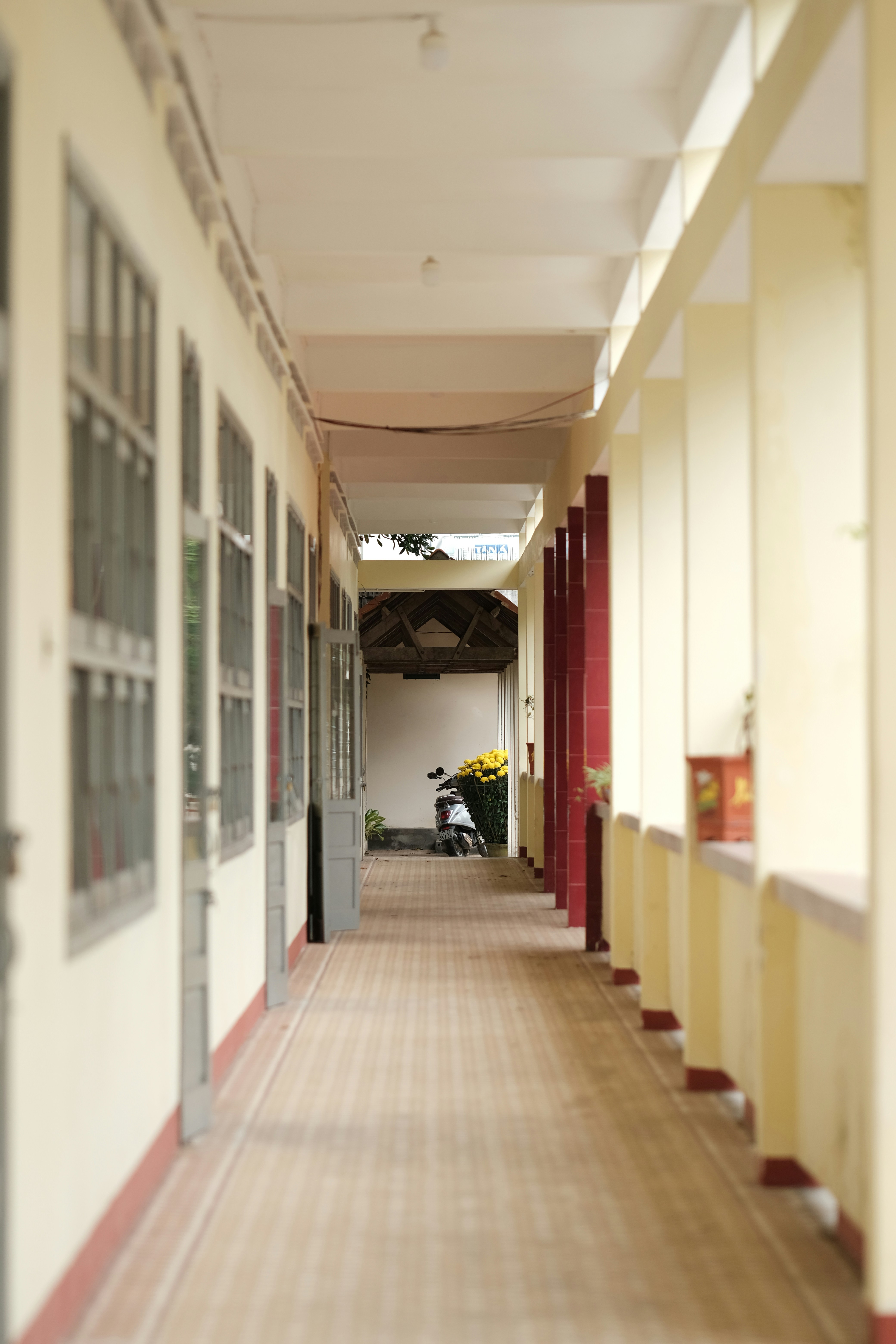 Photo by nguyentrungnguyen