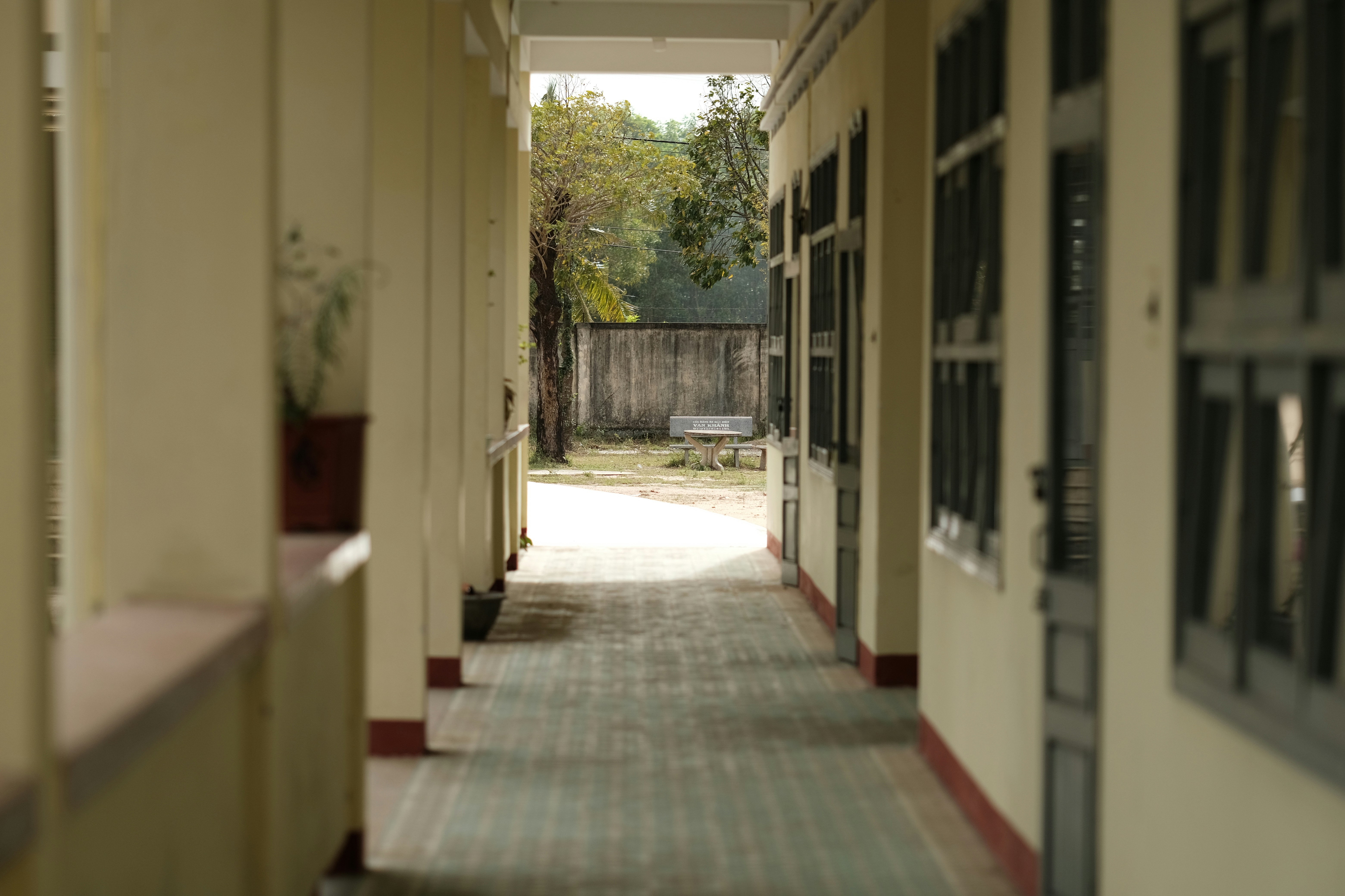 Photo by nguyentrungnguyen