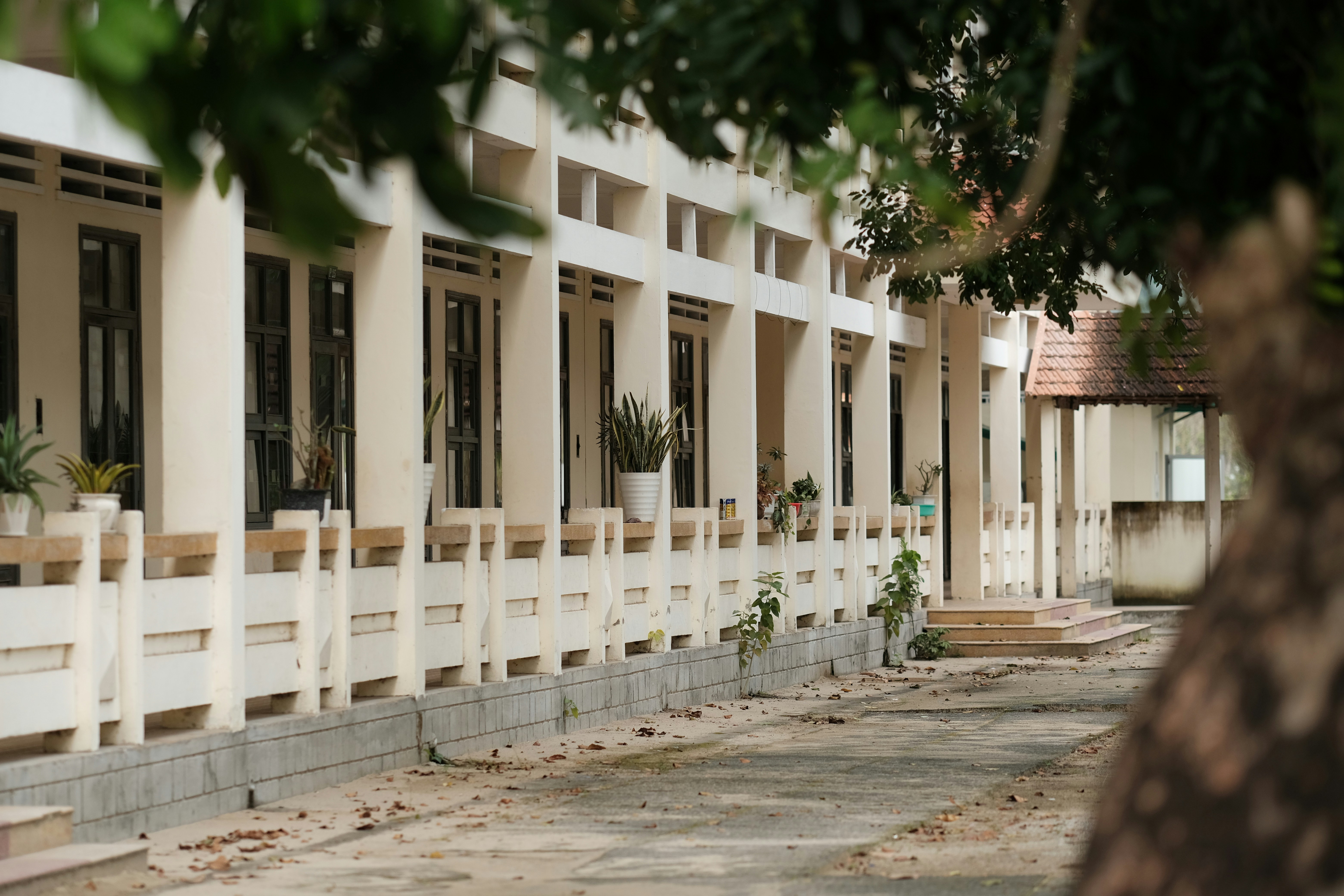 Photo by nguyentrungnguyen