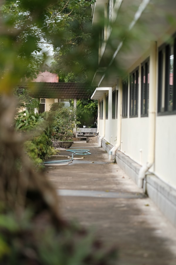 Langues (Français / Anglais)