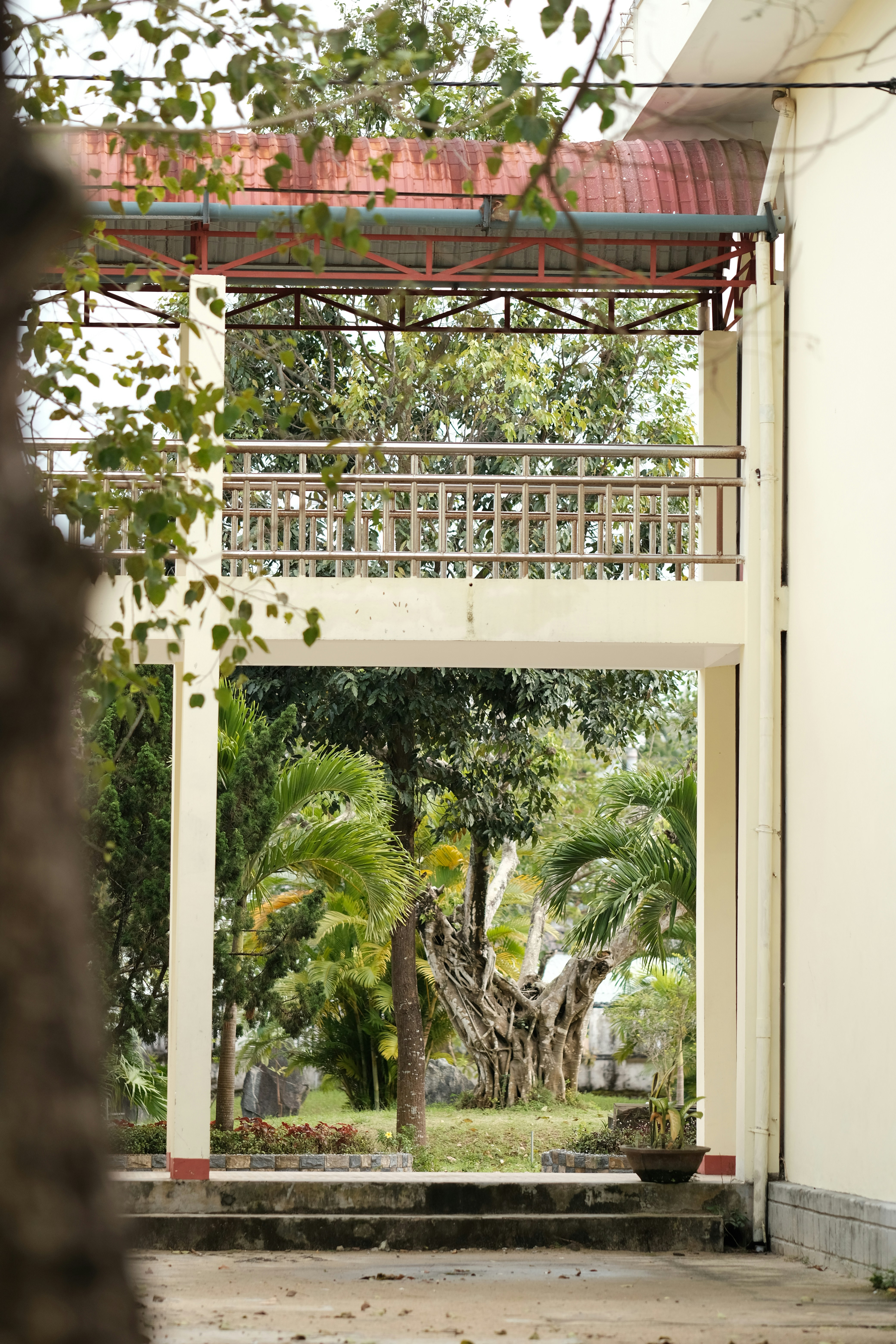 Photo by nguyentrungnguyen