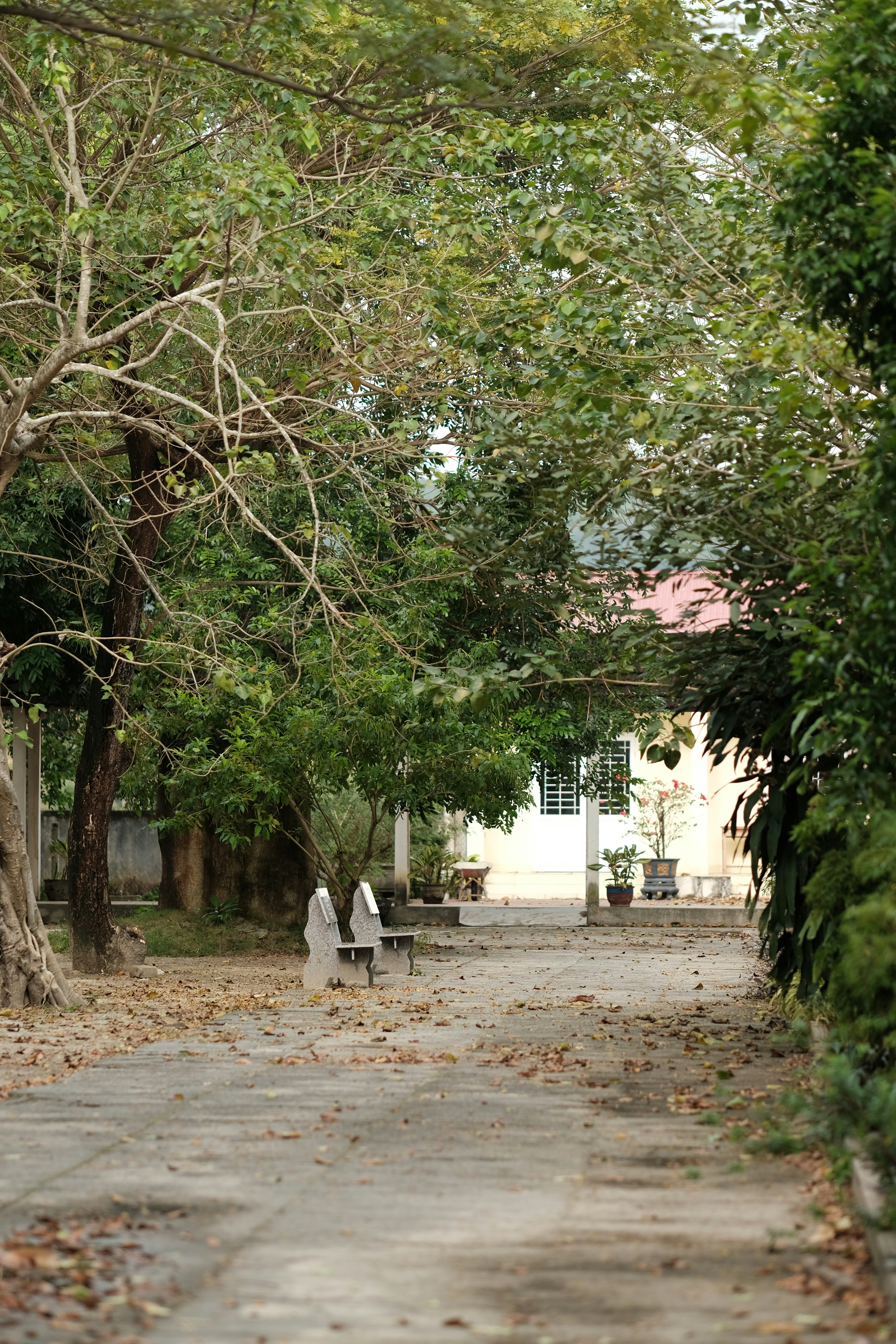 Photo by nguyentrungnguyen