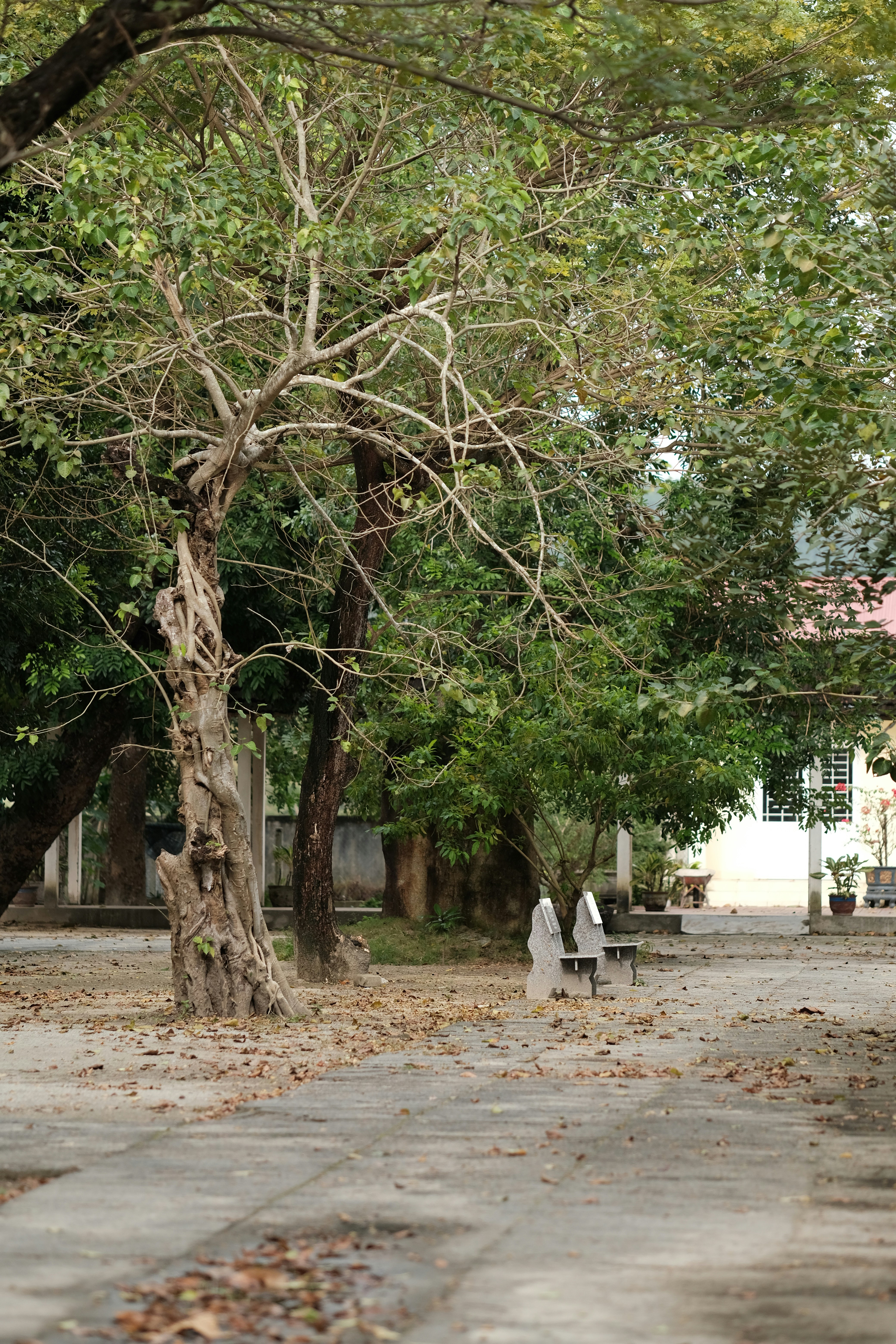 Photo by nguyentrungnguyen