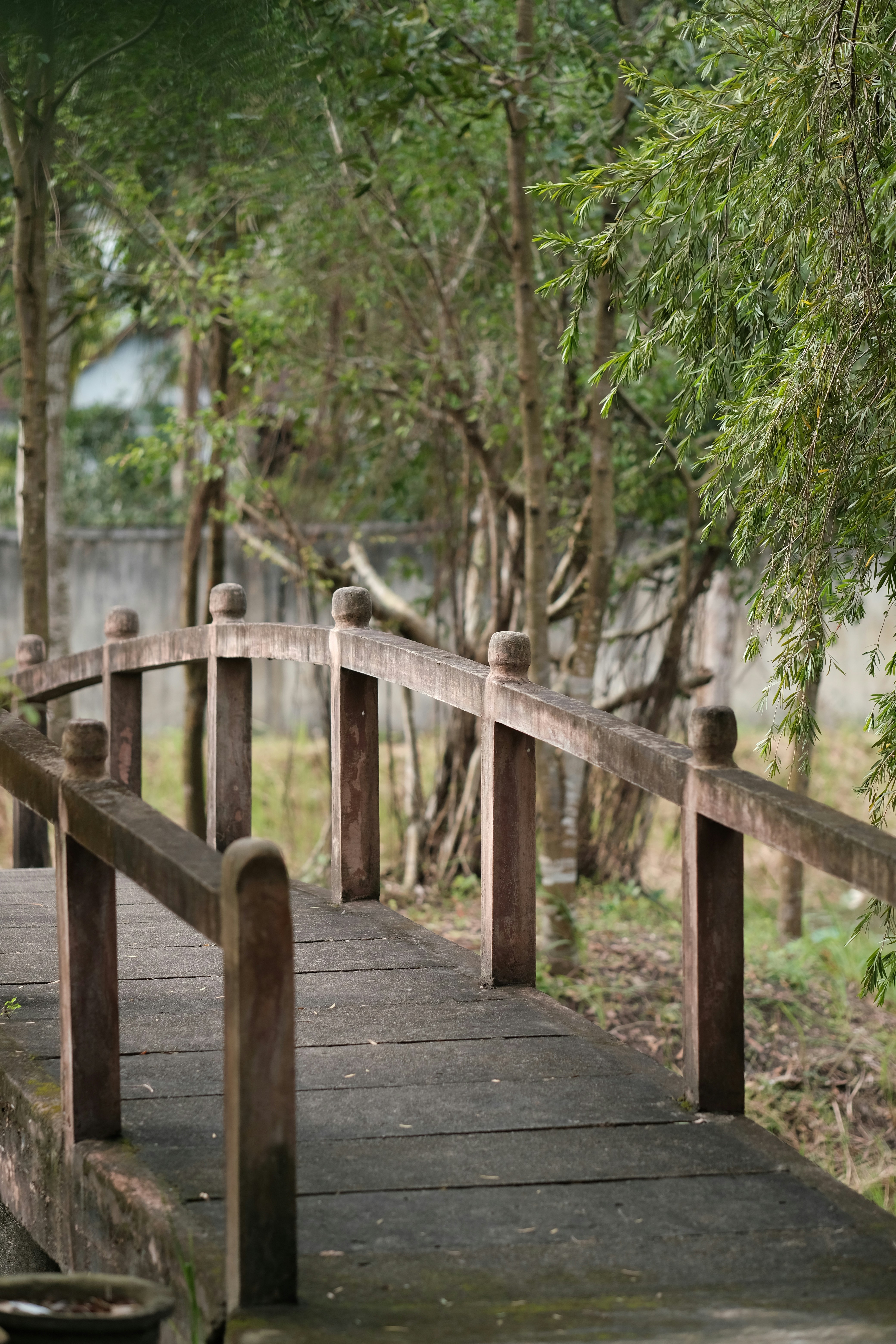 Photo by nguyentrungnguyen