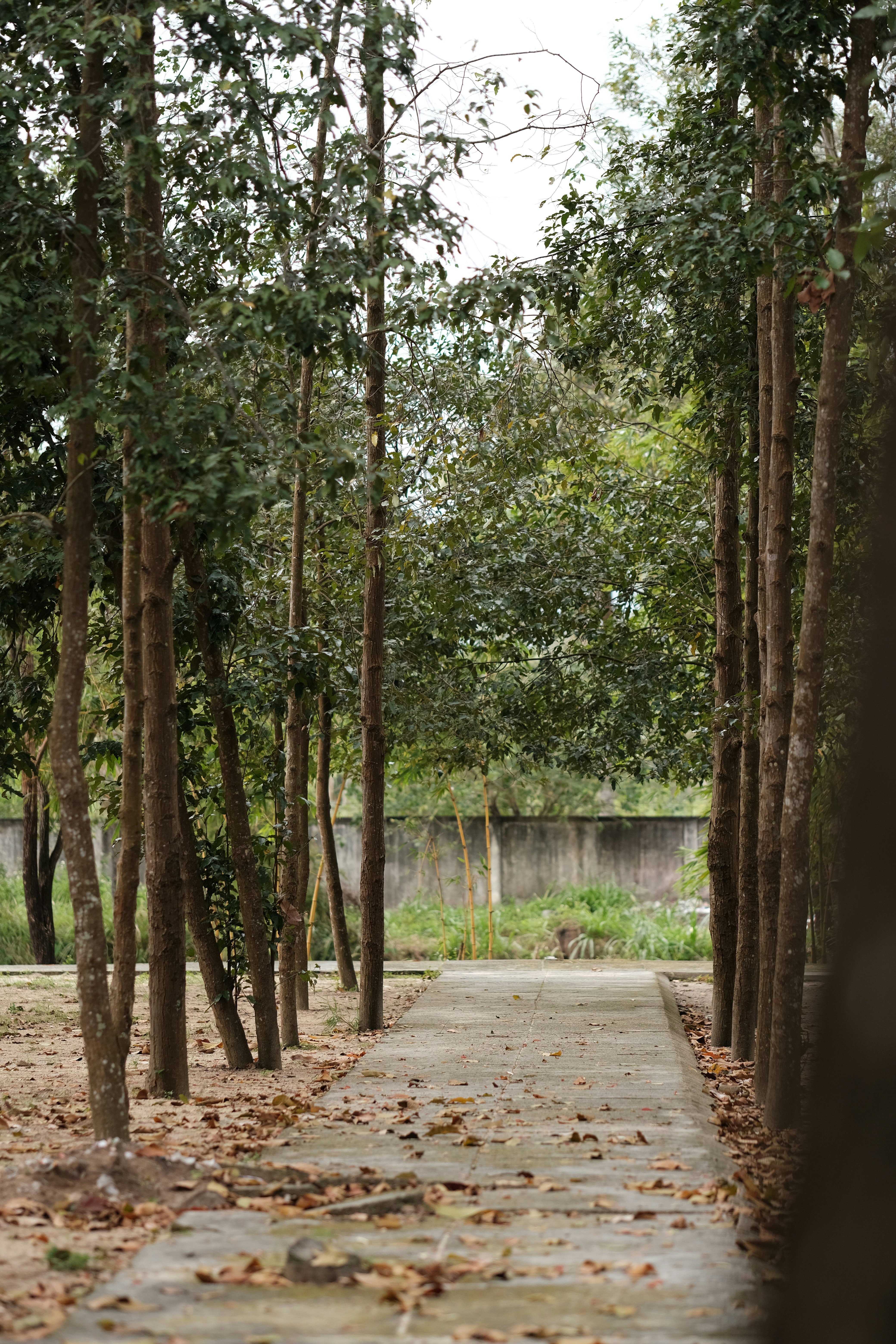 Photo by nguyentrungnguyen