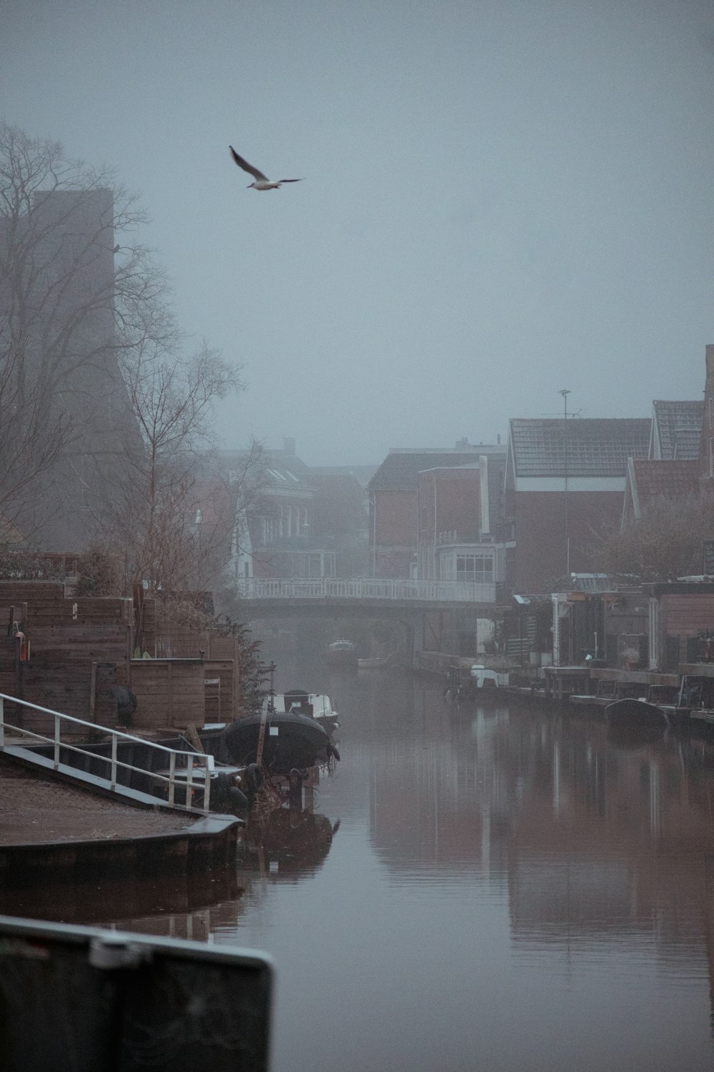 a bird flying over a body of water