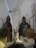 A display of medieval armor and weaponry, including two full suits of chainmail and plate armor with elaborately decorated shields. Several swords and lances are arranged in the background, along with a collection of arrows mounted on the wall. The exhibit is in a museum setting, indicated by the descriptive placard placed near the armor.