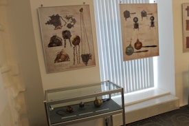 A museum exhibit displays historical artifacts in a glass case below and two illustrated posters on the wall, featuring detailed drawings and descriptions of the artifacts. The room has vertical blinds on a window, allowing natural light to filter through.