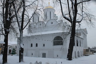 A snow-covered Orthodox church with golden domes, surrounded by bare trees. String lights are visible among the trees, and a plastic Christmas tree can be seen to the side. The ground and rooftops are blanketed in snow, creating a serene winter scene.