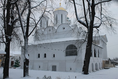 A snow-covered Orthodox church with golden domes, surrounded by bare trees. String lights are visible among the trees, and a plastic Christmas tree can be seen to the side. The ground and rooftops are blanketed in snow, creating a serene winter scene.