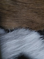Two distinct layers of animal fur, one with a brownish hue and the other with a mix of white and gray strands. The texture of the fur is soft, with visible strands in detail, showcasing the differing colors and thicknesses.
