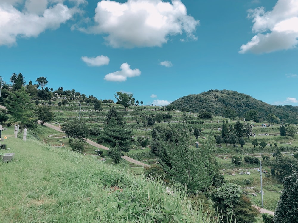 a grassy hill with a cemetery in the distance