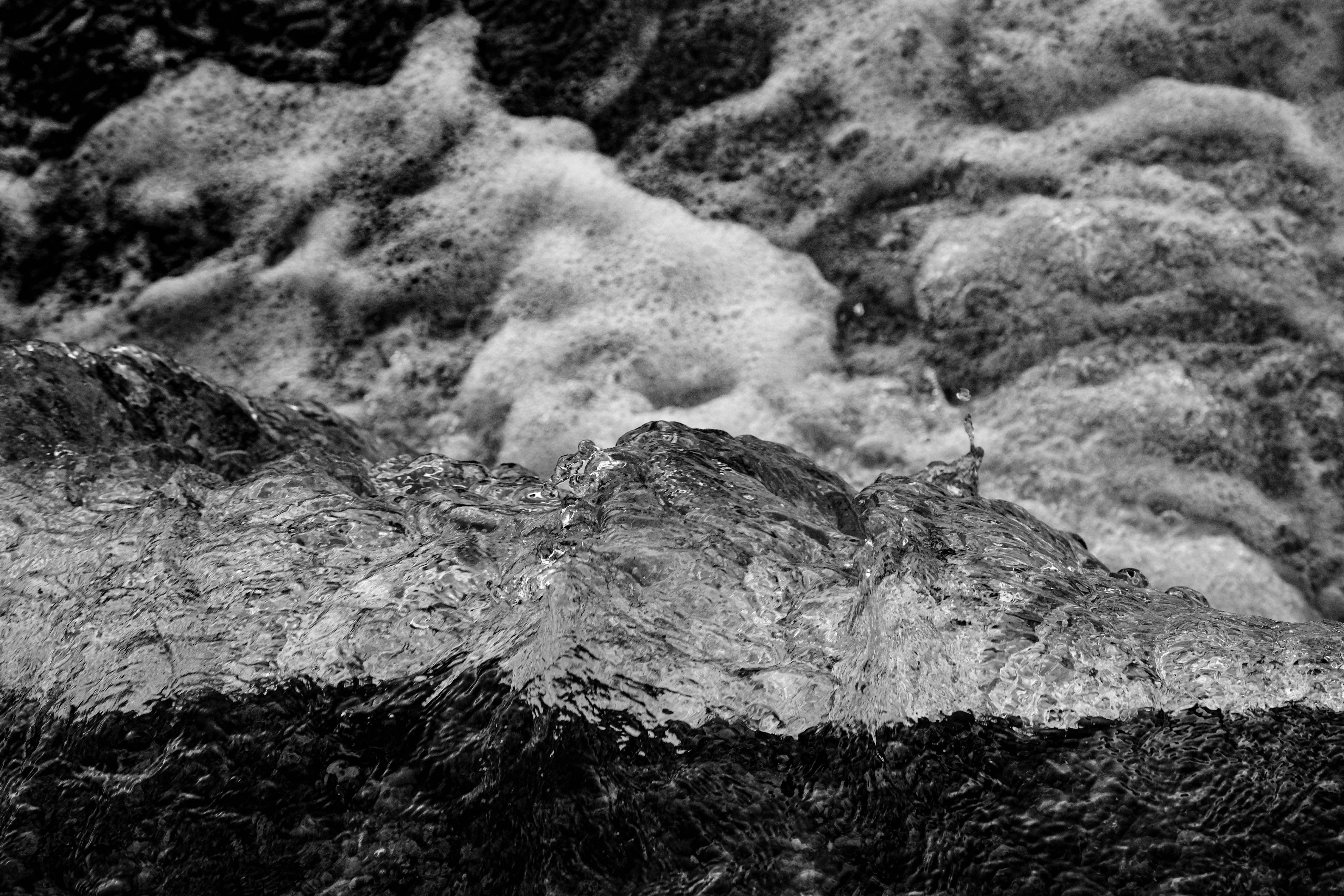 Photo by francesco_ungaro