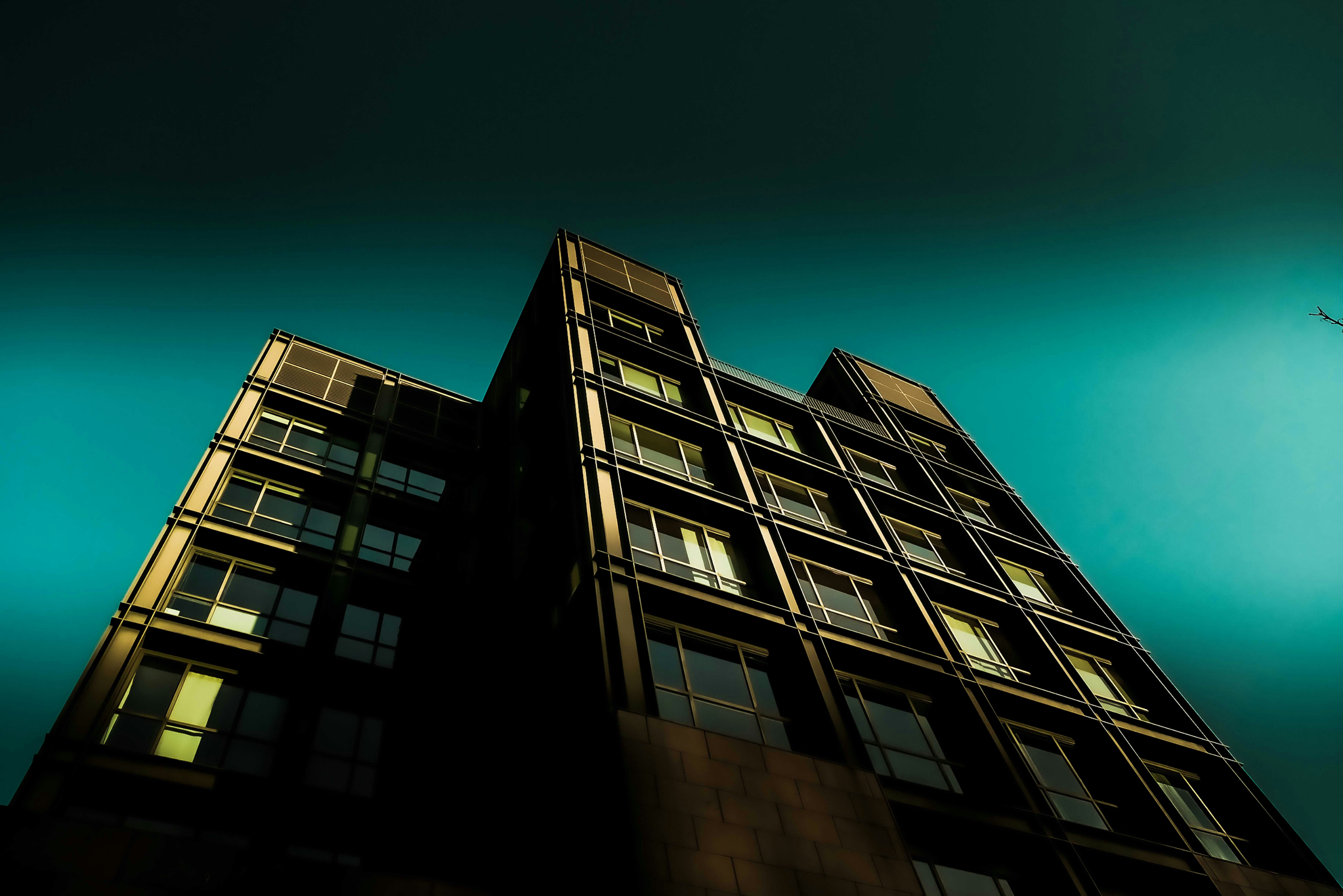 Photo by francesco_ungaro