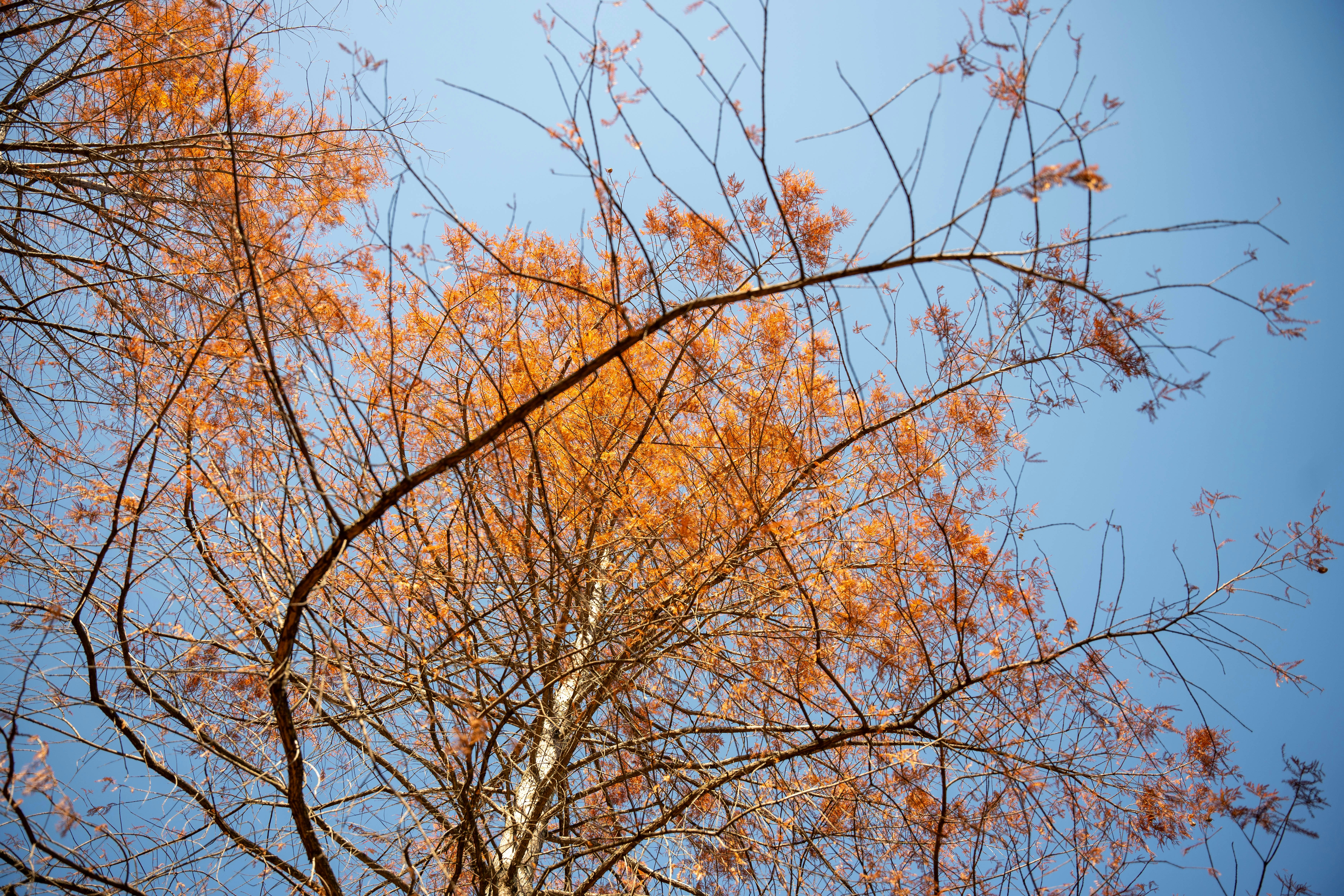 Photo by stellaastclairr