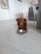 A small brown dog with long fur sits on a light wooden floor next to a metal bowl partially filled with dog food. The setting appears to be a cozy home interior with white walls, a gray couch, and a table visible in the background.