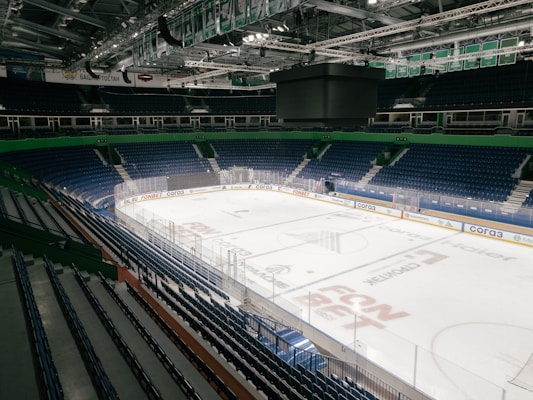 NHL Games party bus and limo rental