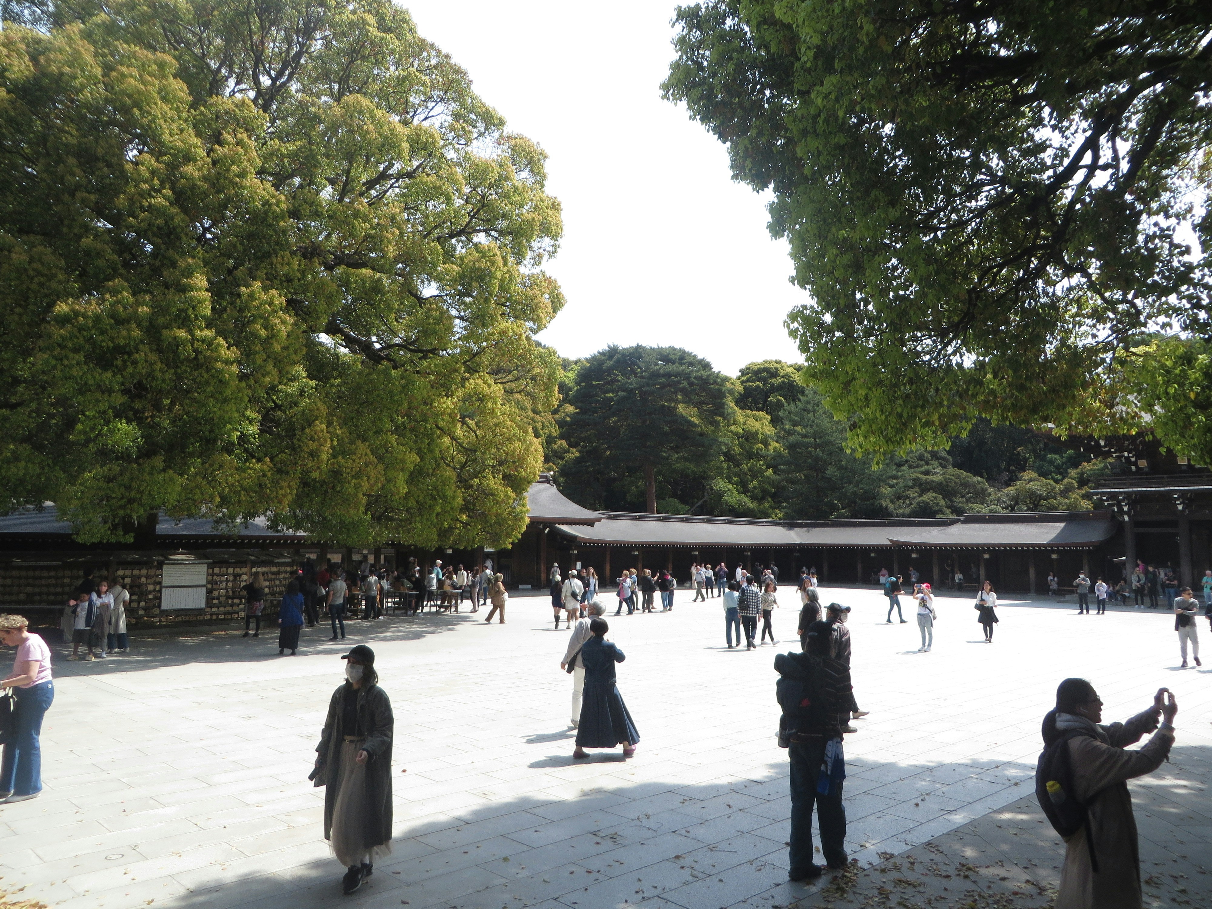 Meiji Jingu Shrine