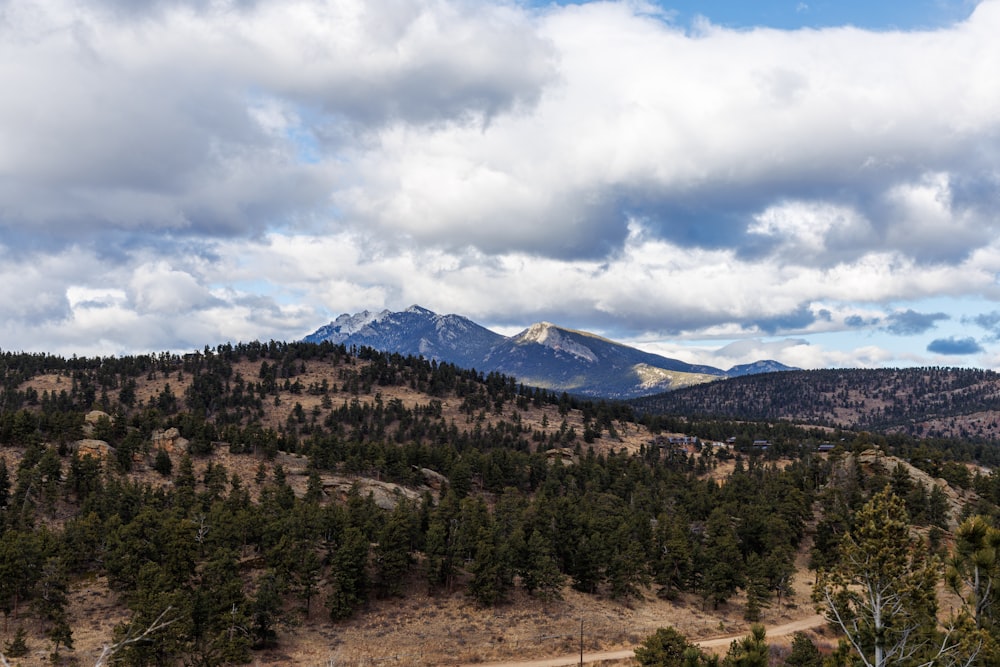 a view of a mountain range with trees and clouds