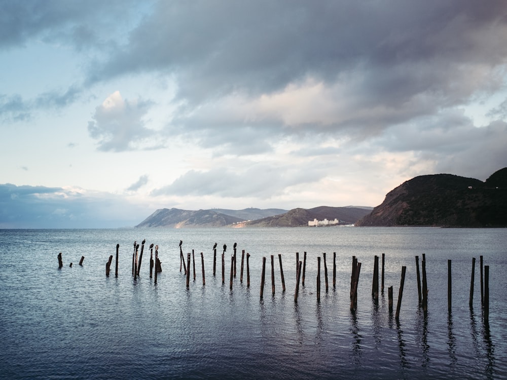 a body of water with a bunch of poles sticking out of it