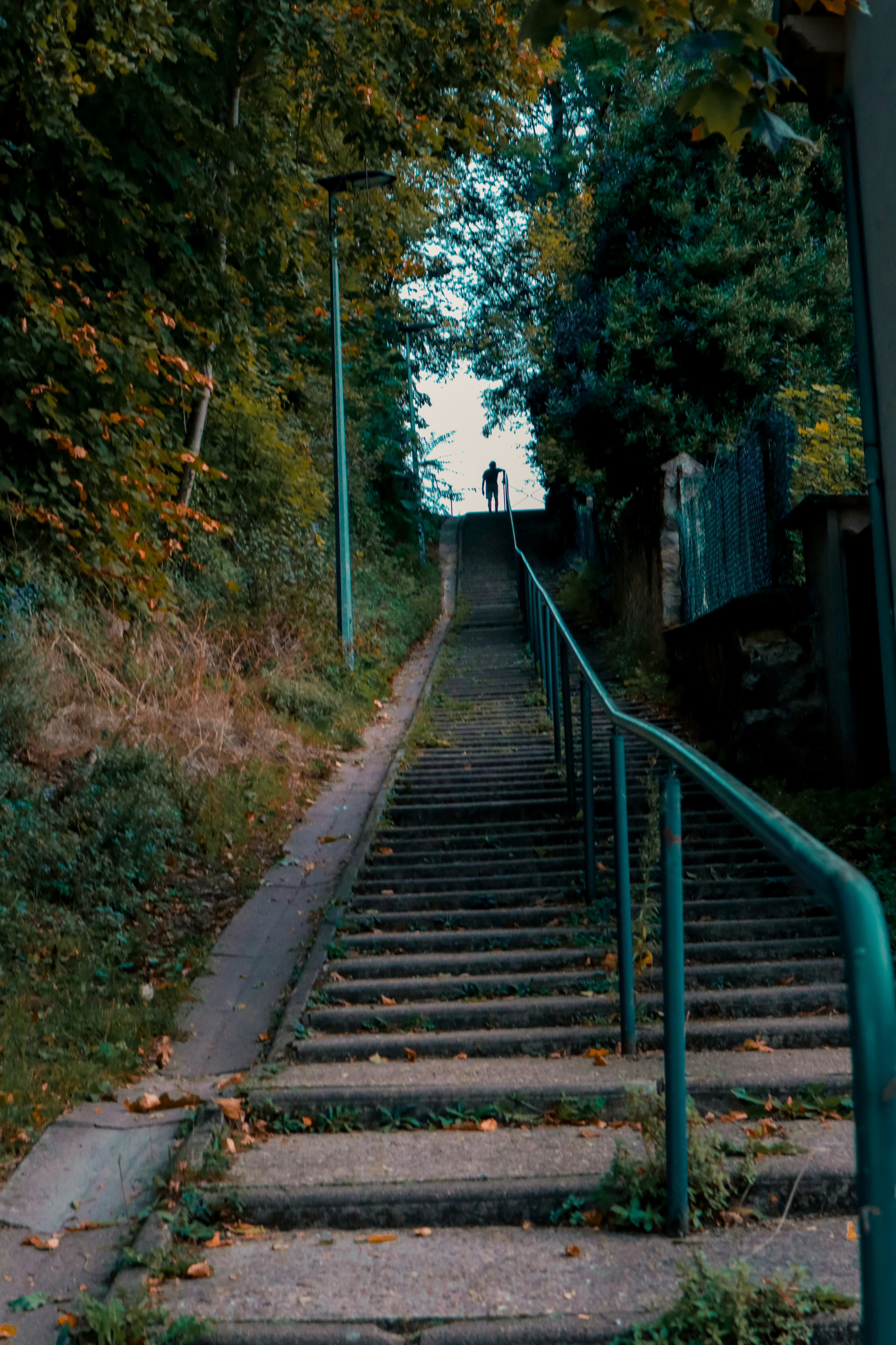 Photo by kvmvn