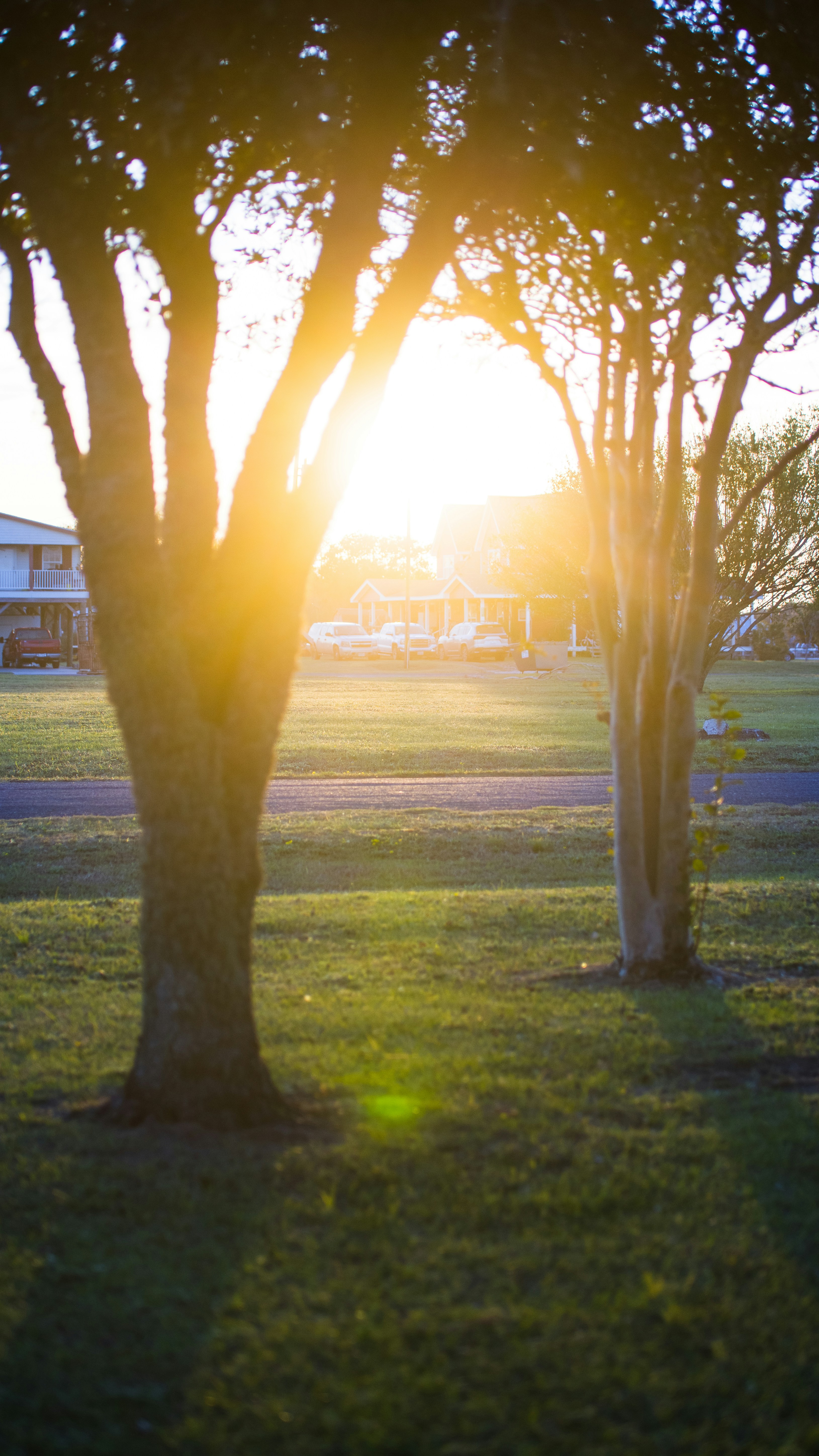 Photo by joseph_royer