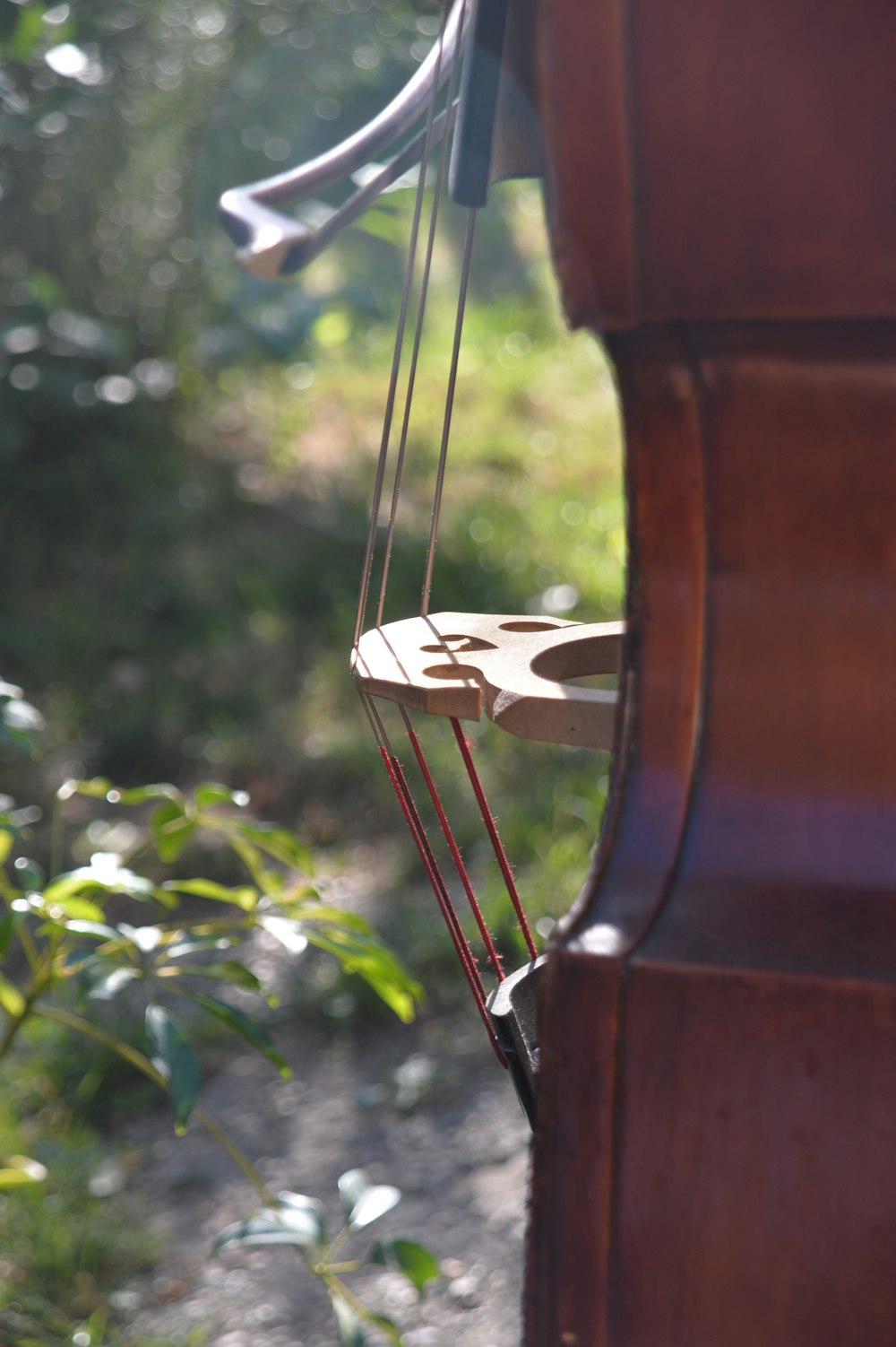 eine Nahaufnahme eines Musikinstruments, an dem Saiten befestigt sind