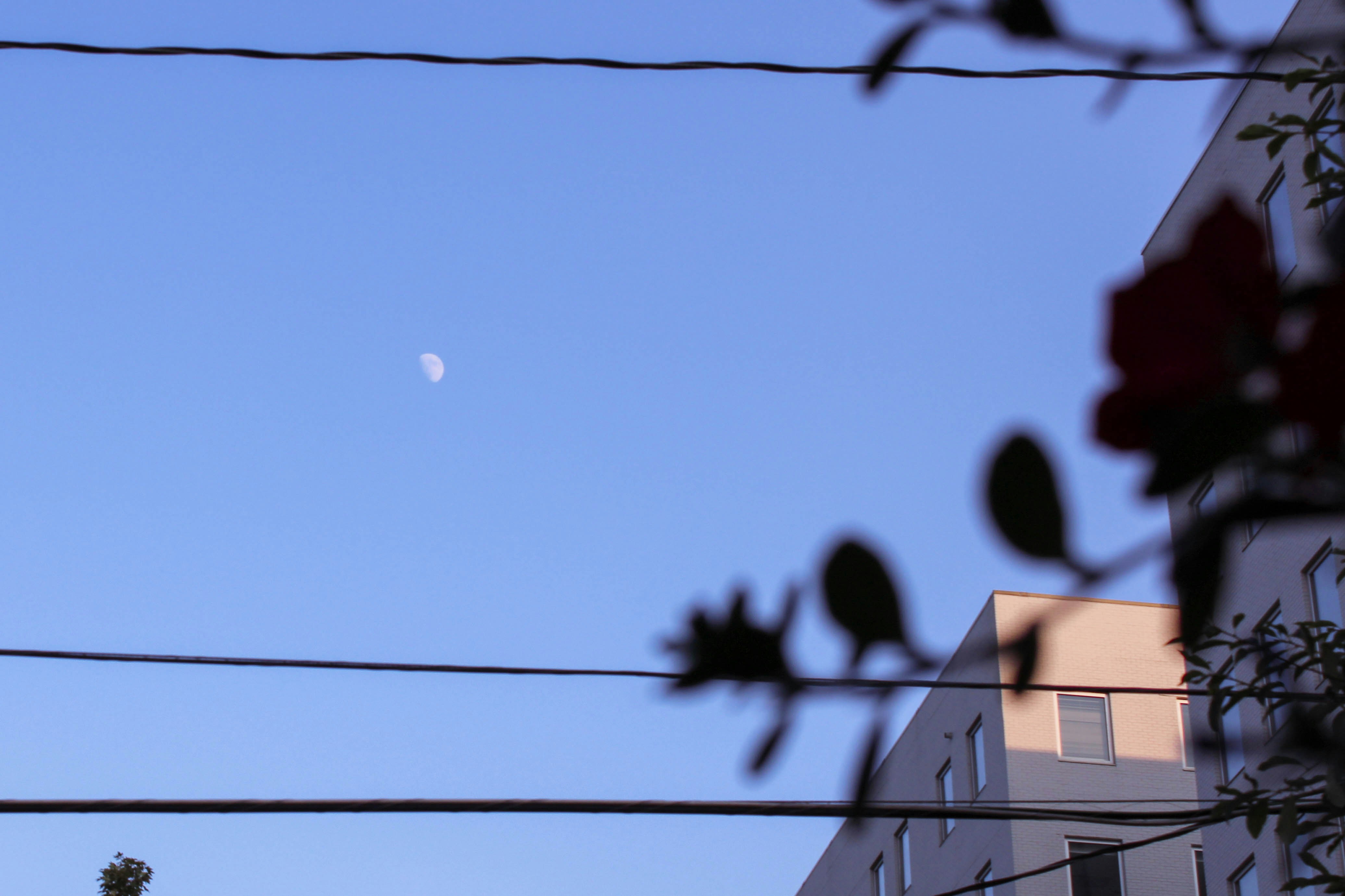 Photo by stellaastclairr