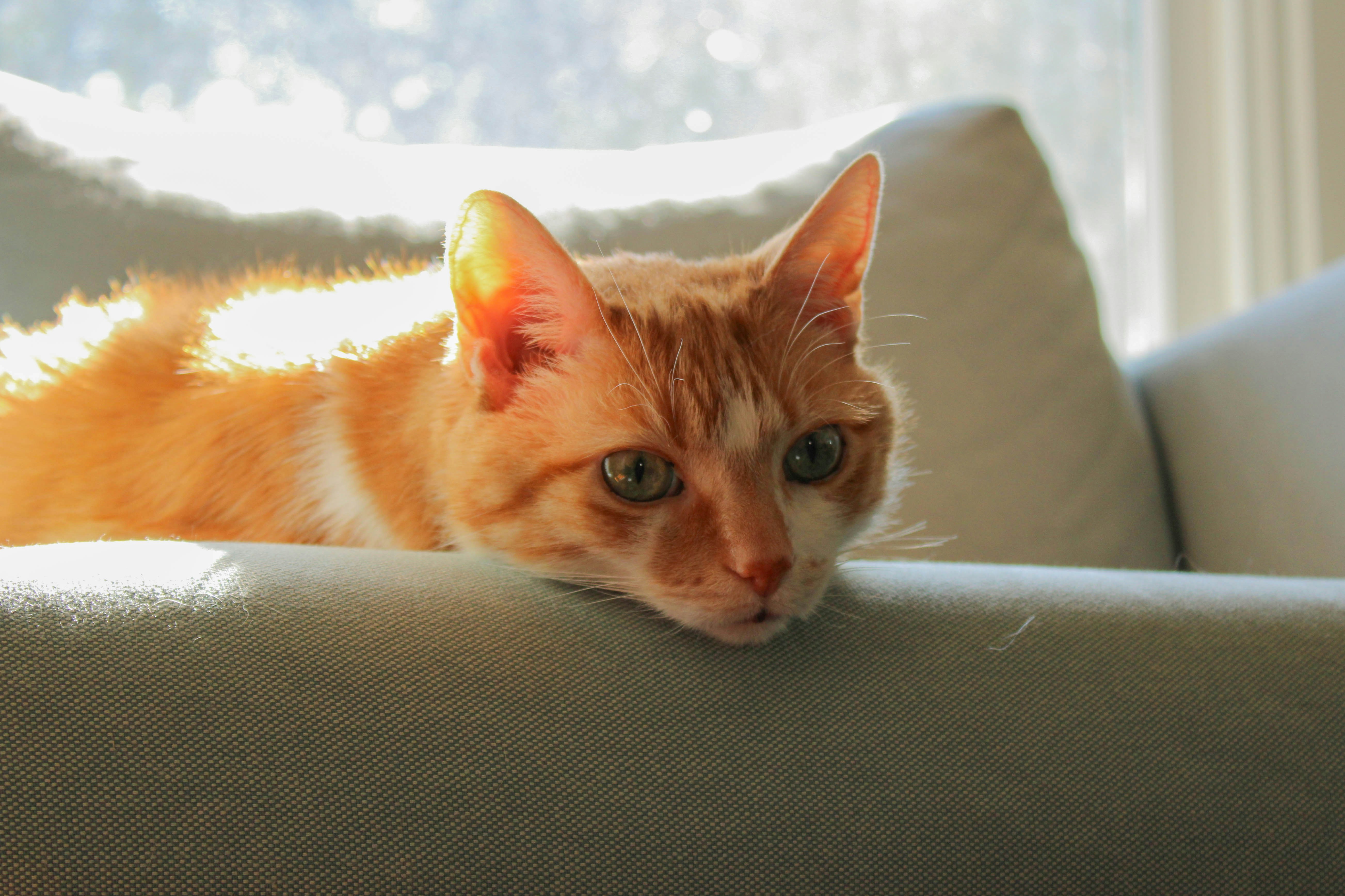 Photo by stellaastclairr