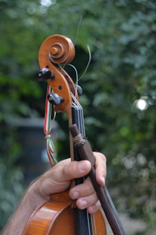 A hand is holding a violin neck with visible tuning pegs and strings. The violin has a striped ribbon attached. The background is blurred greenery, suggesting an outdoor setting.